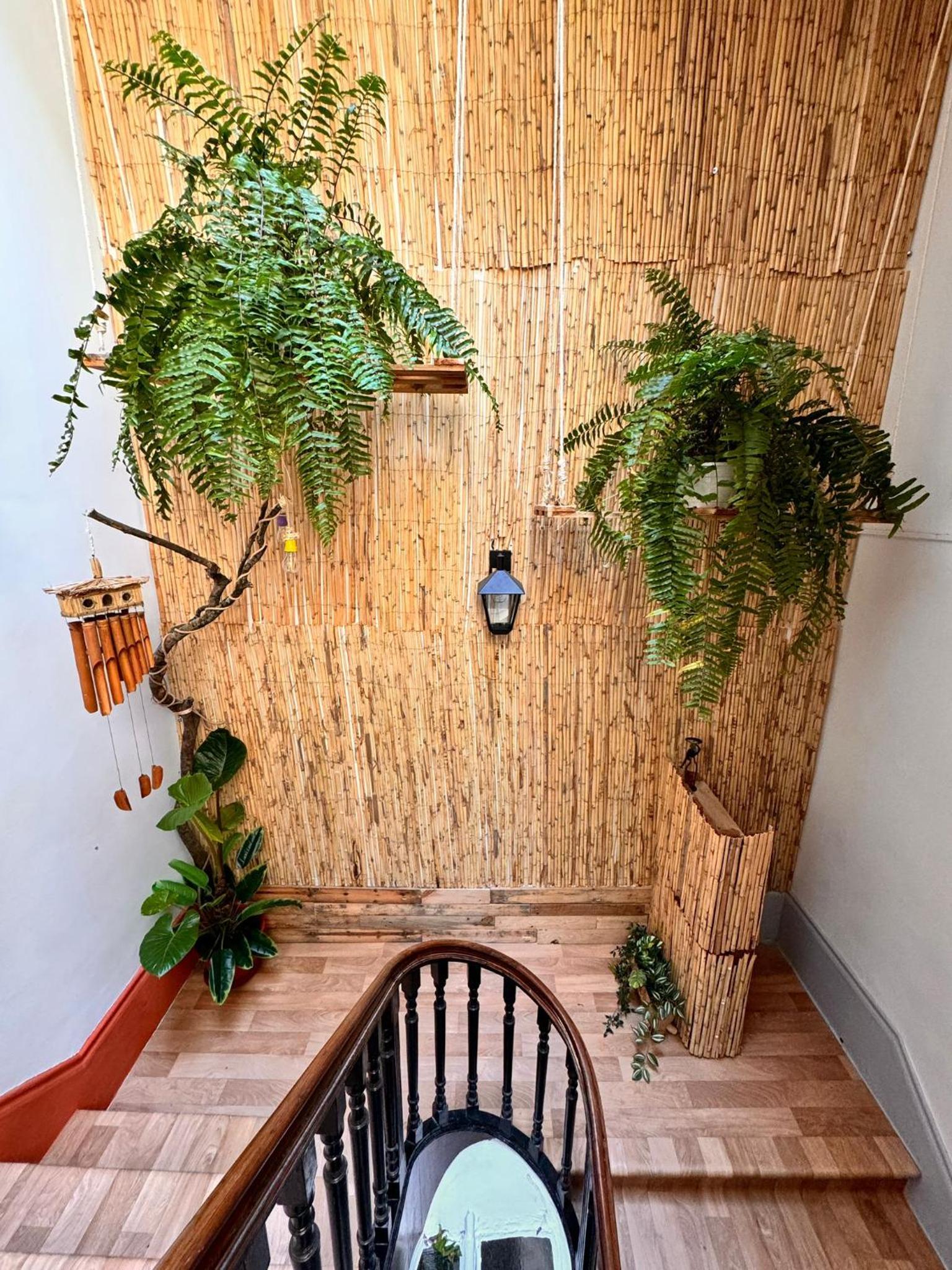 Samba Guesthouse