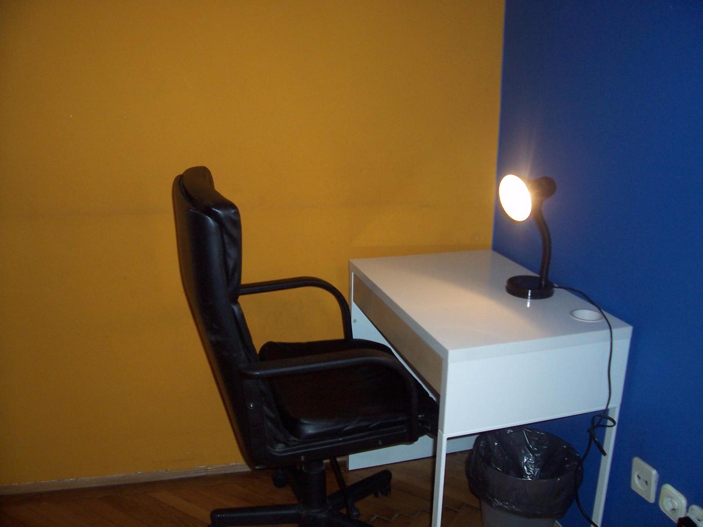 Photo 11