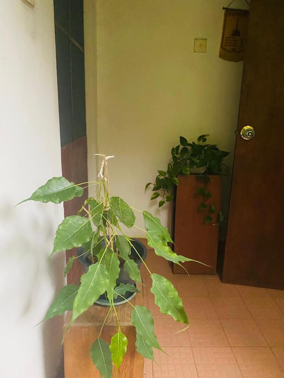 Ahana Homestay Kandy