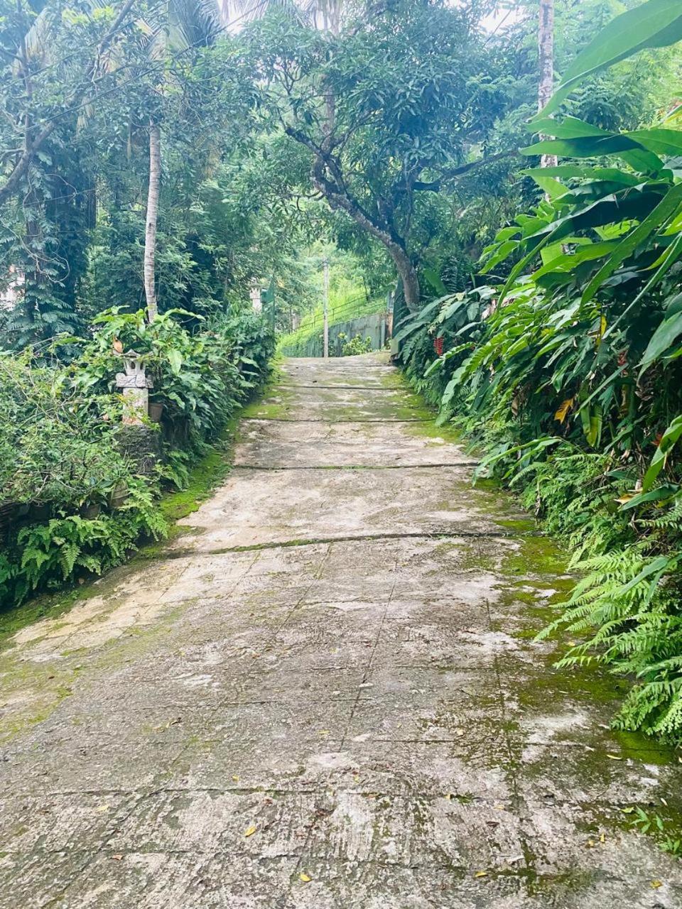 Ahana Homestay Kandy