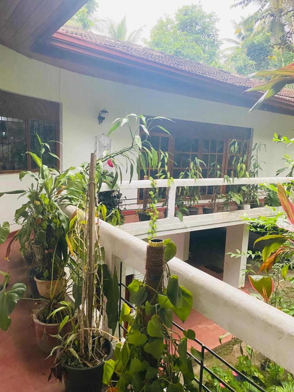 Ahana Homestay Kandy