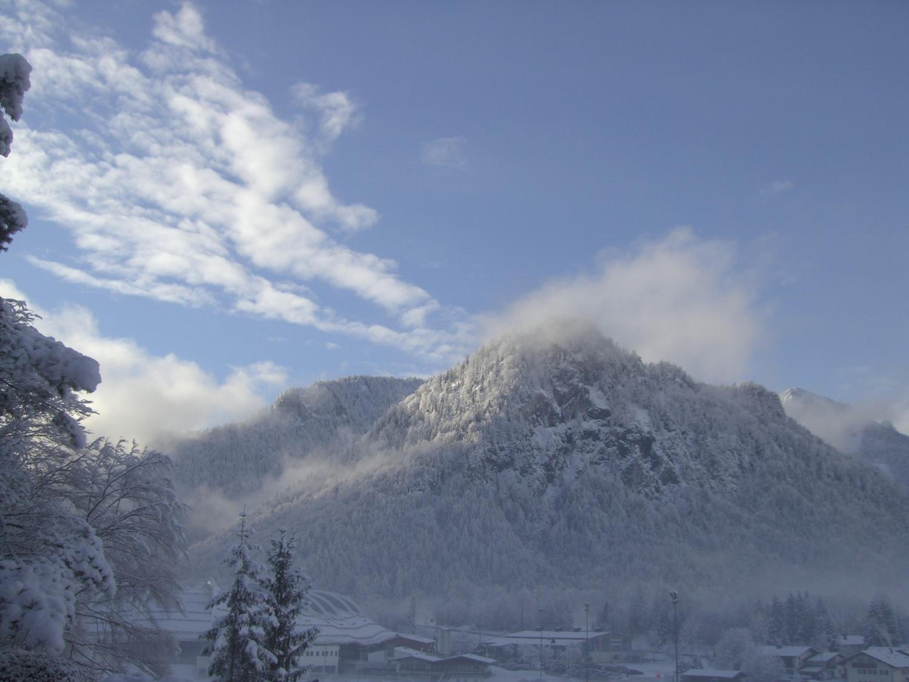 Photo 44