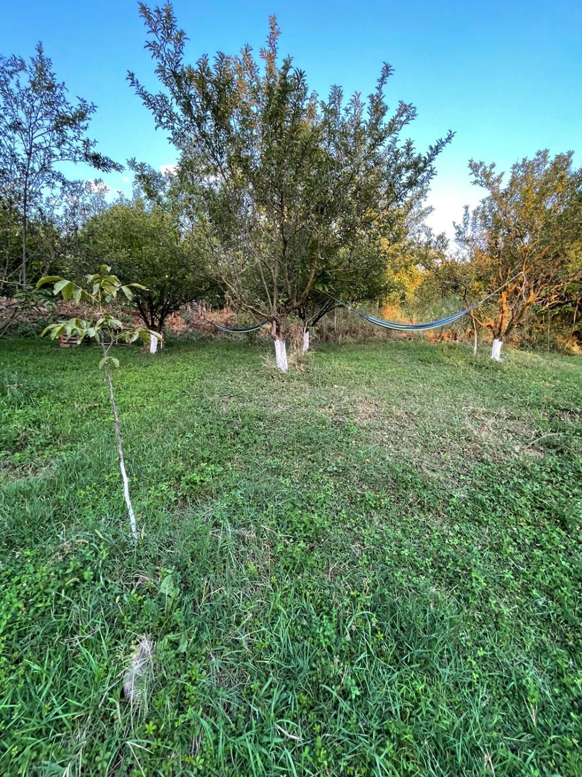 Shtepizat e Rames Agroturizem