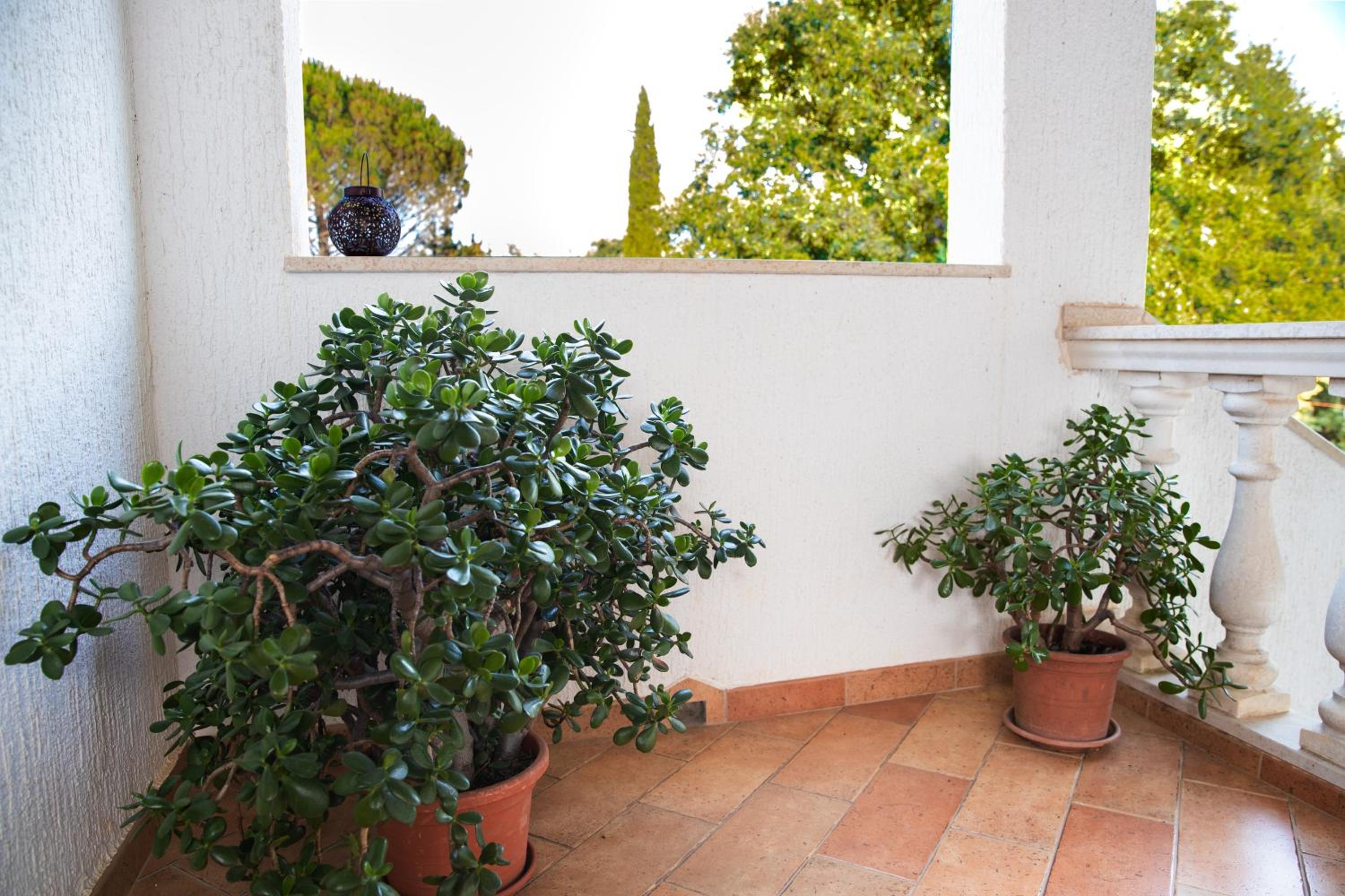 Apartman Jala