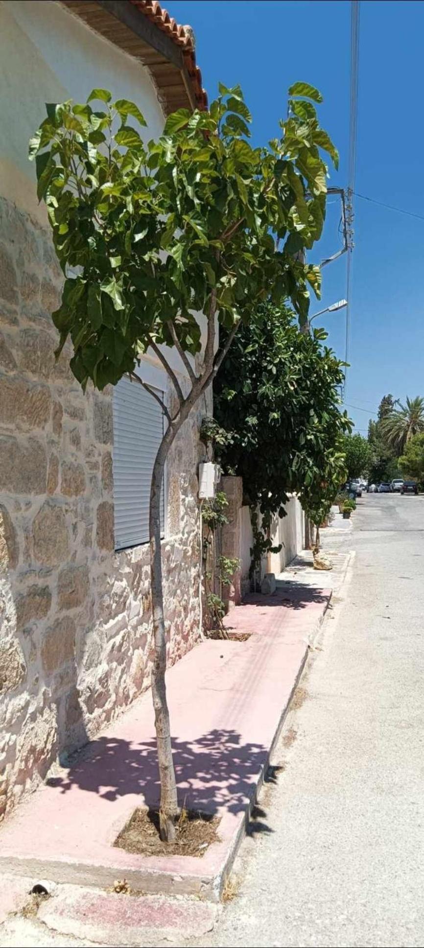 Petra Vori Studio view 4