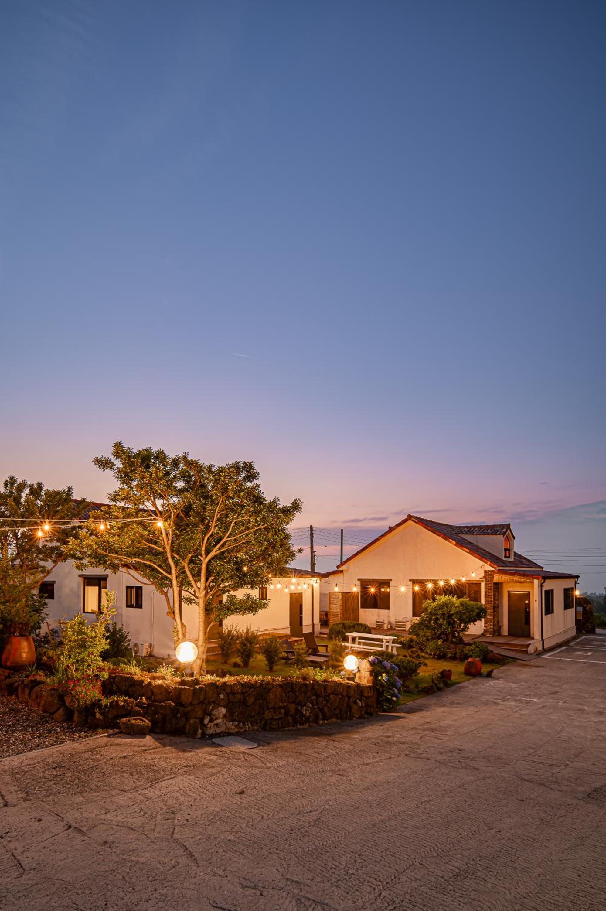Photo 101
