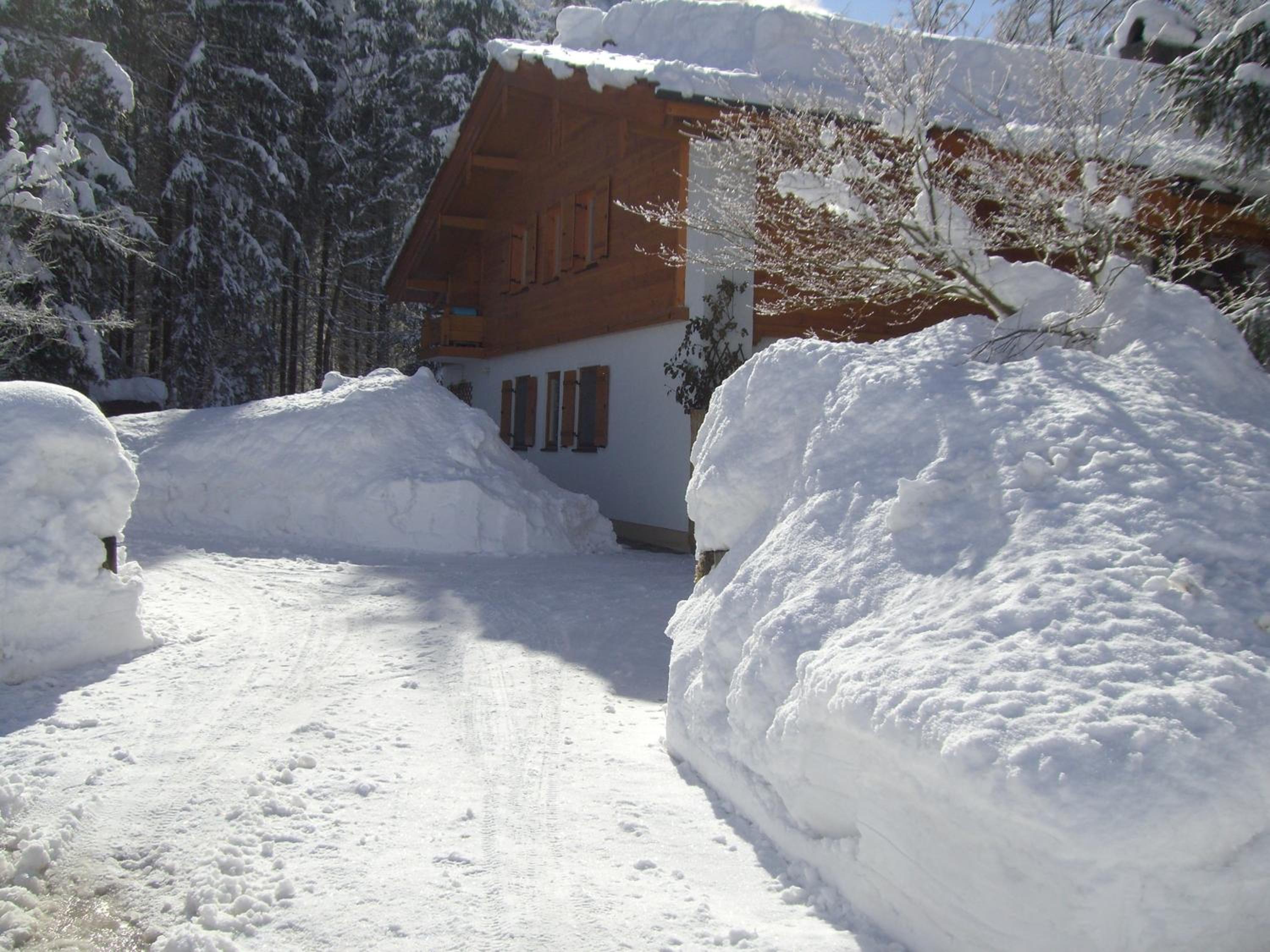 Photo 45