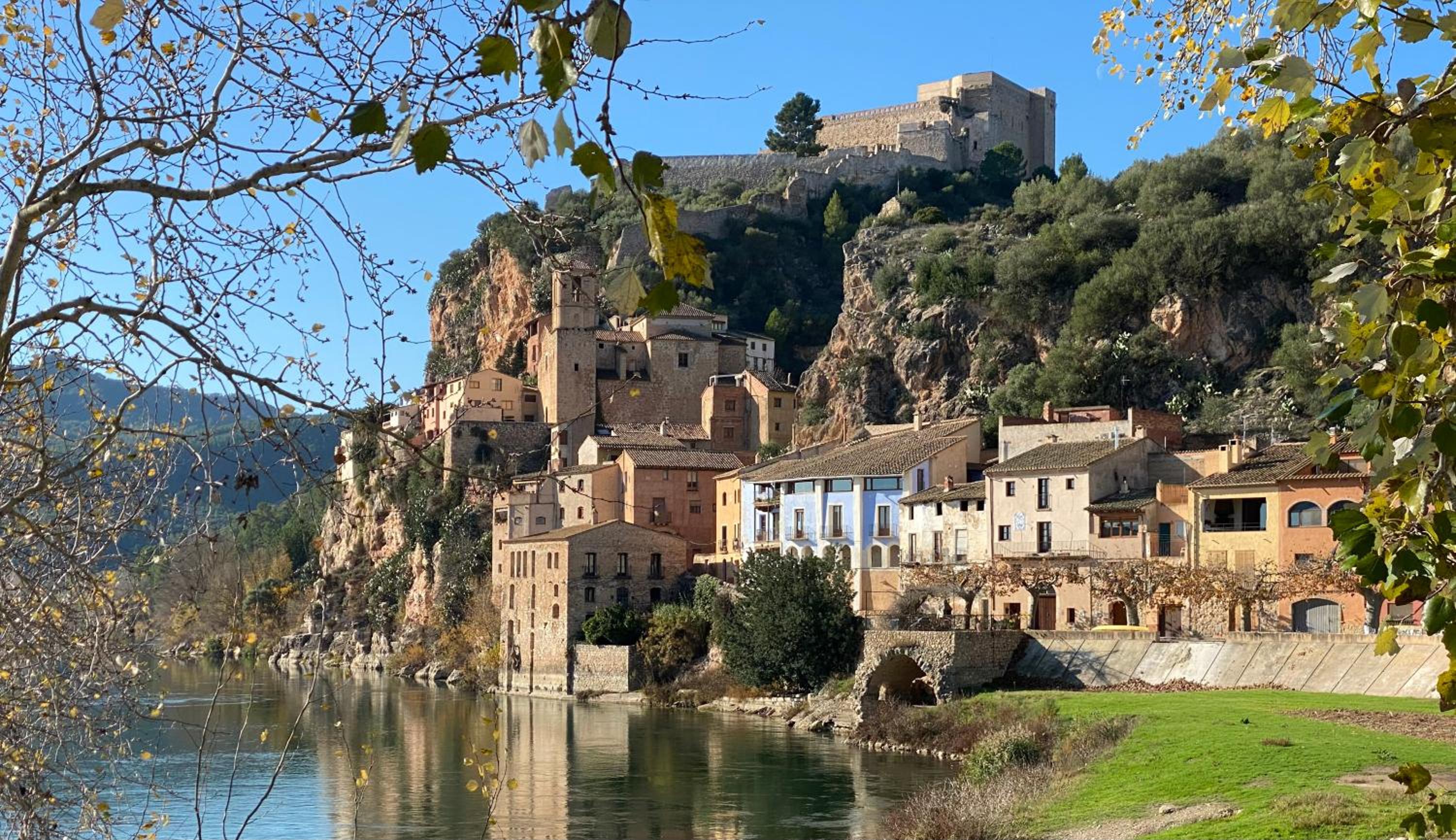 ebrevista