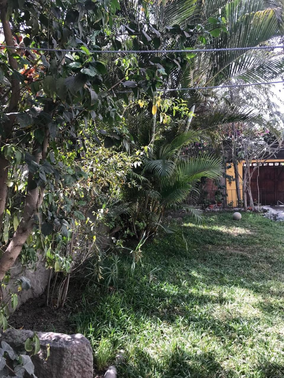 Photo 14