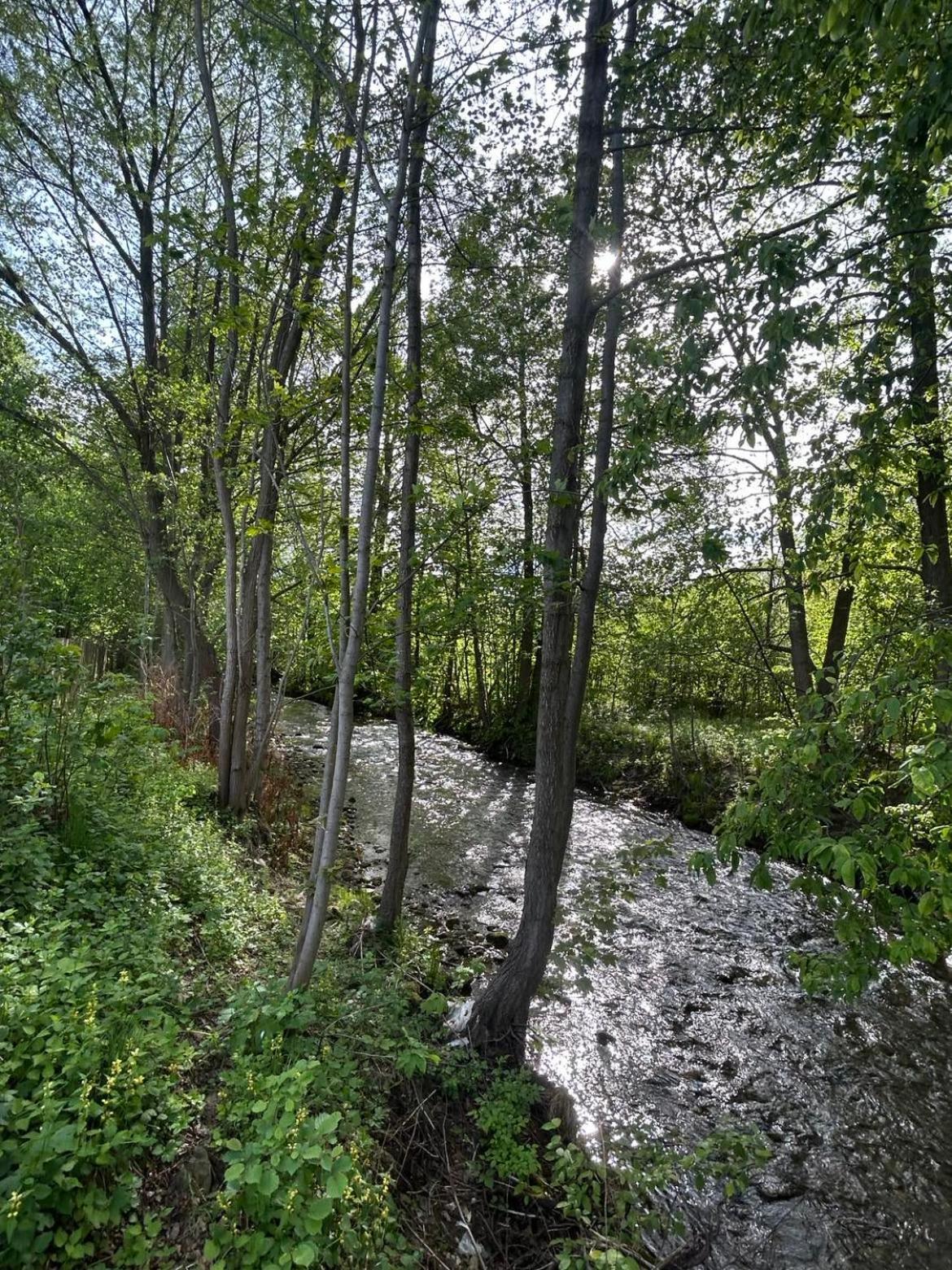 Leśny Park Polanica, photo 39