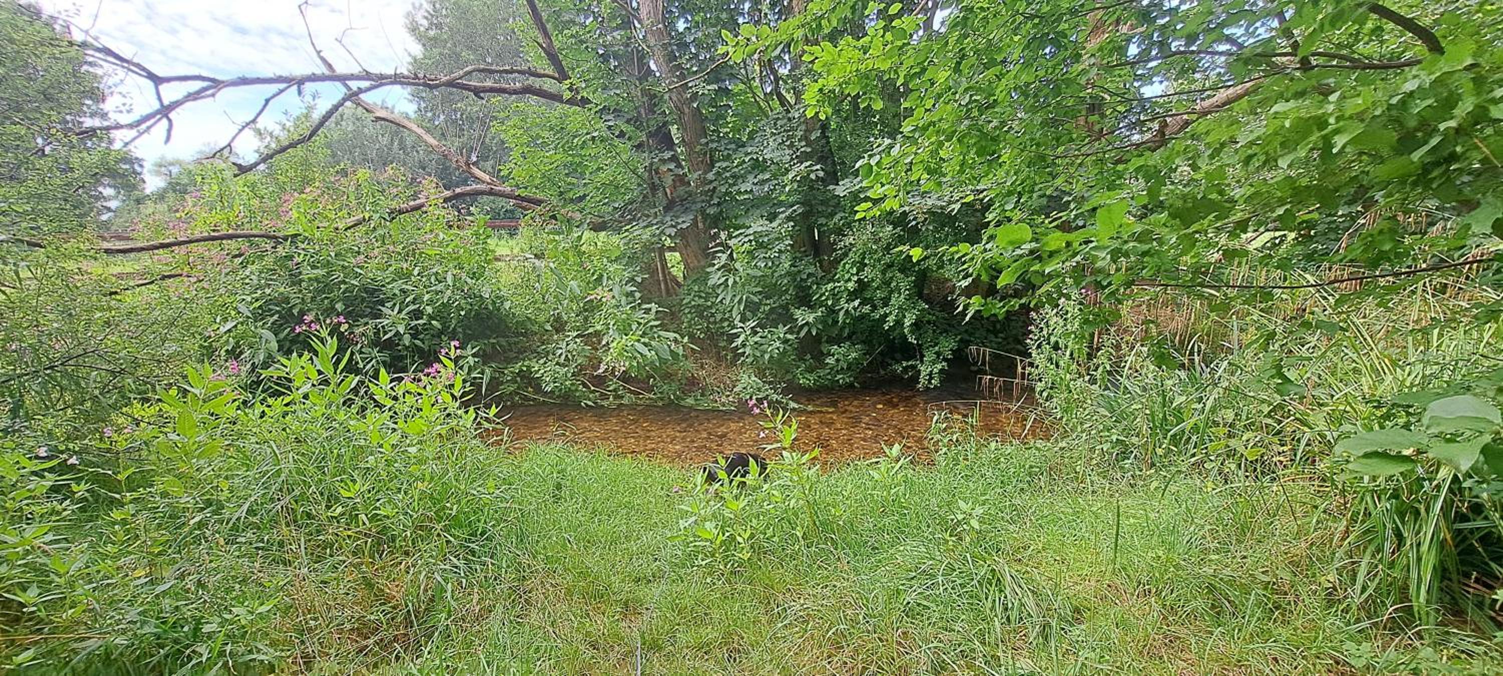 Photo 42