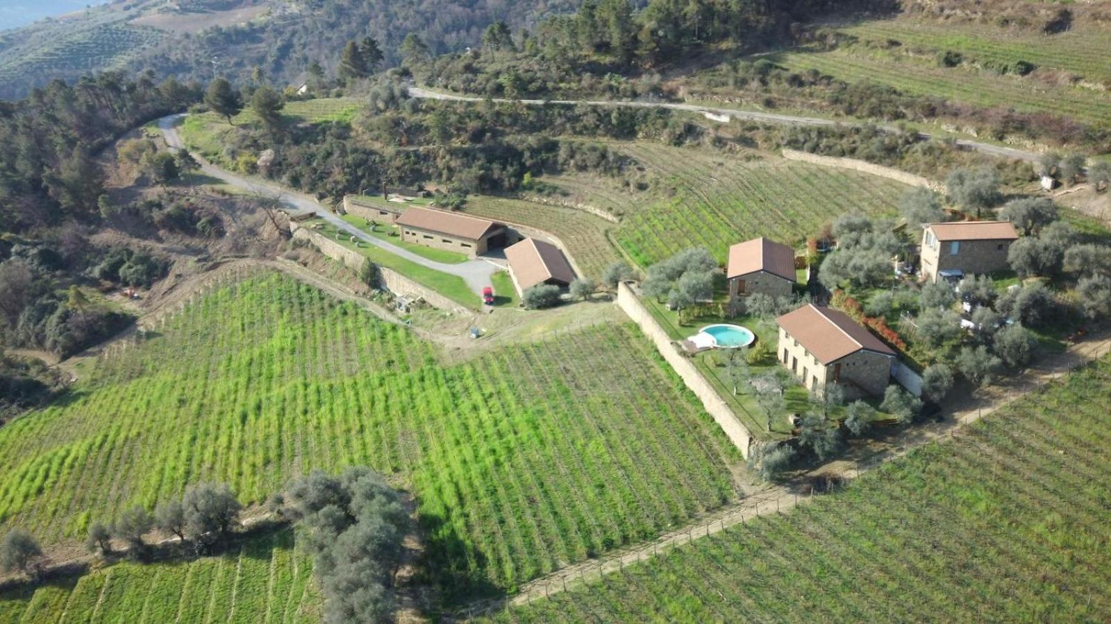 Agriturismo Altavia-Travigne