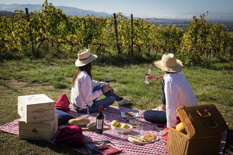 Agriturismo Altavia-Travigne