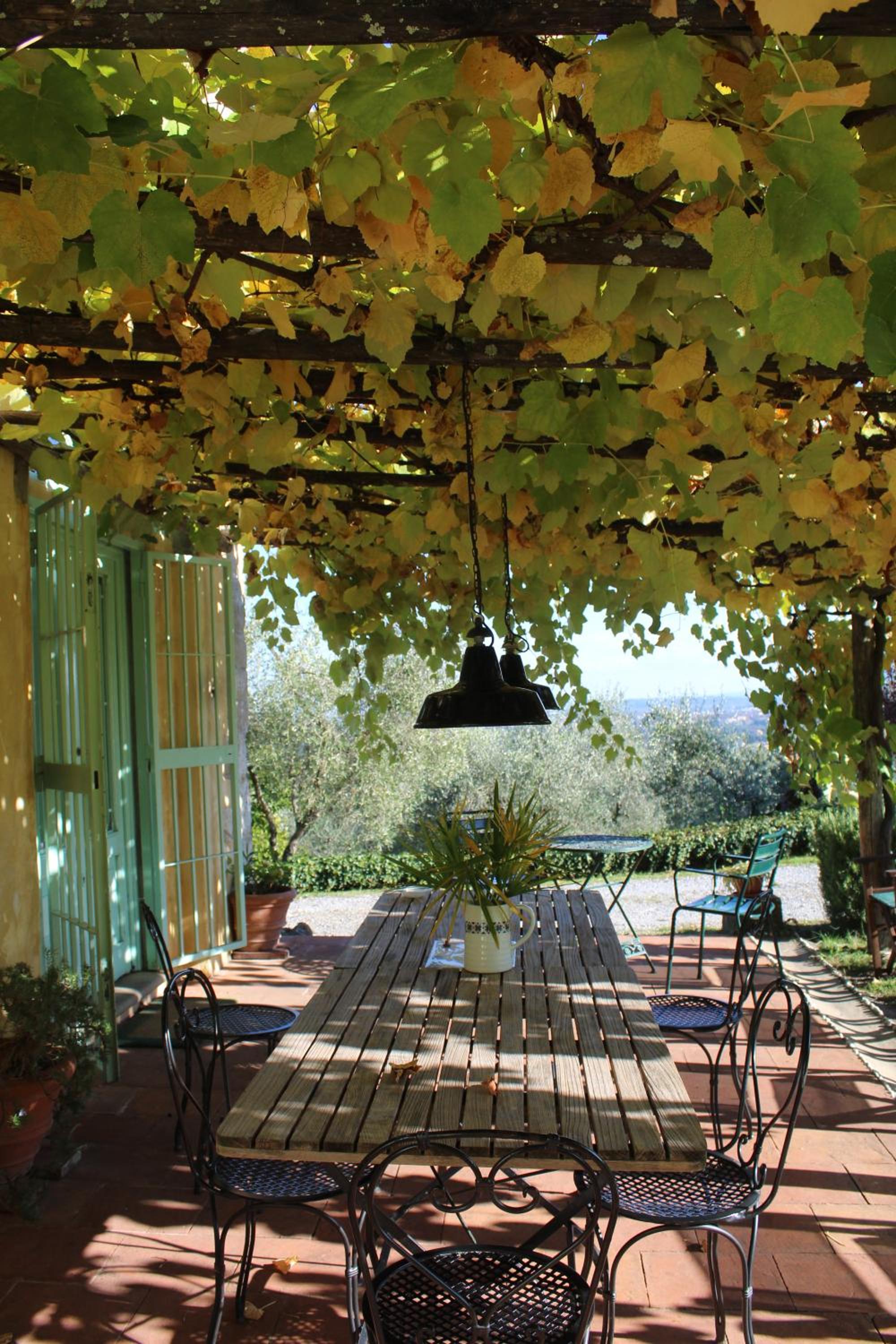 Azienda Agricola Fabbrica Di San Martino