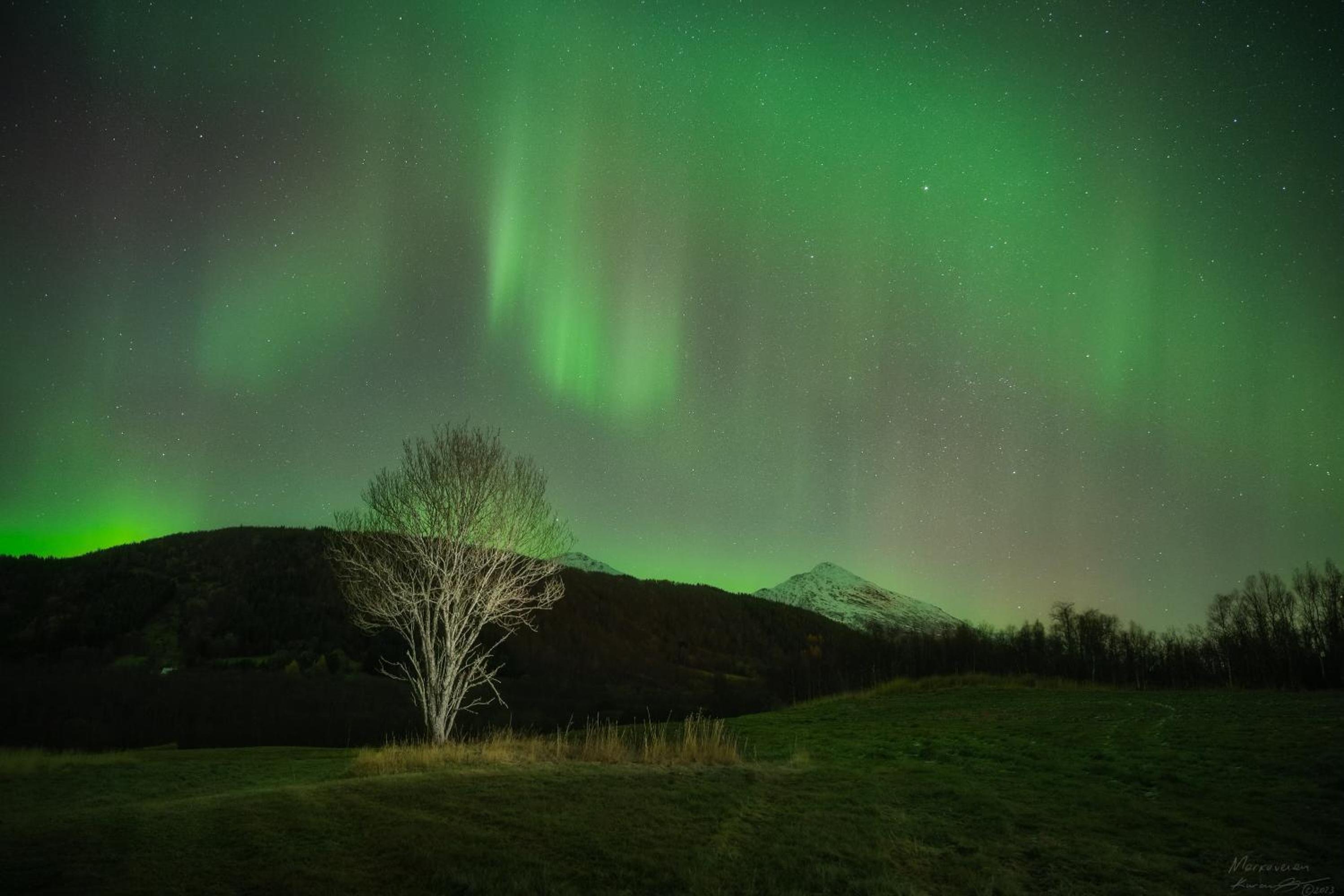 Evenes Artic glamping