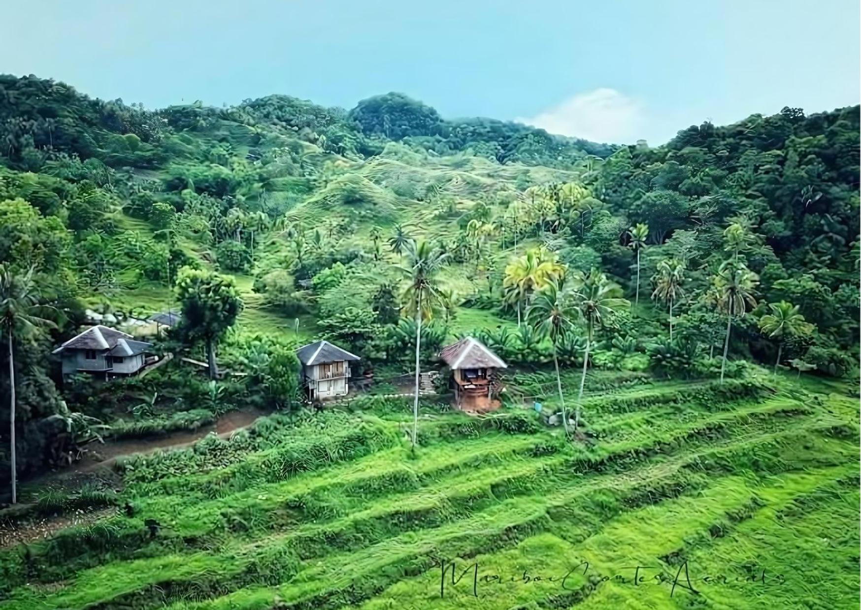 Canjahawon Nipa Hut Homestay view 5