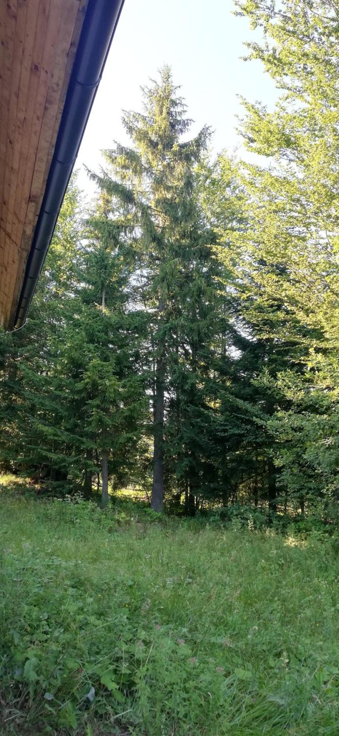 Mountain House Pridolci