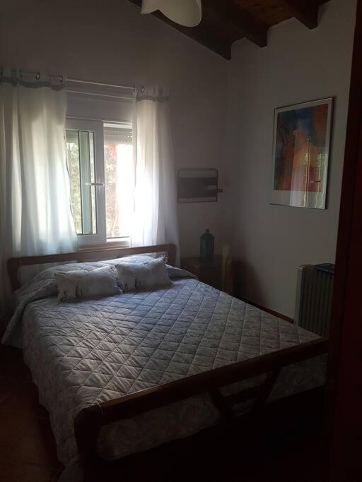 Photo 38