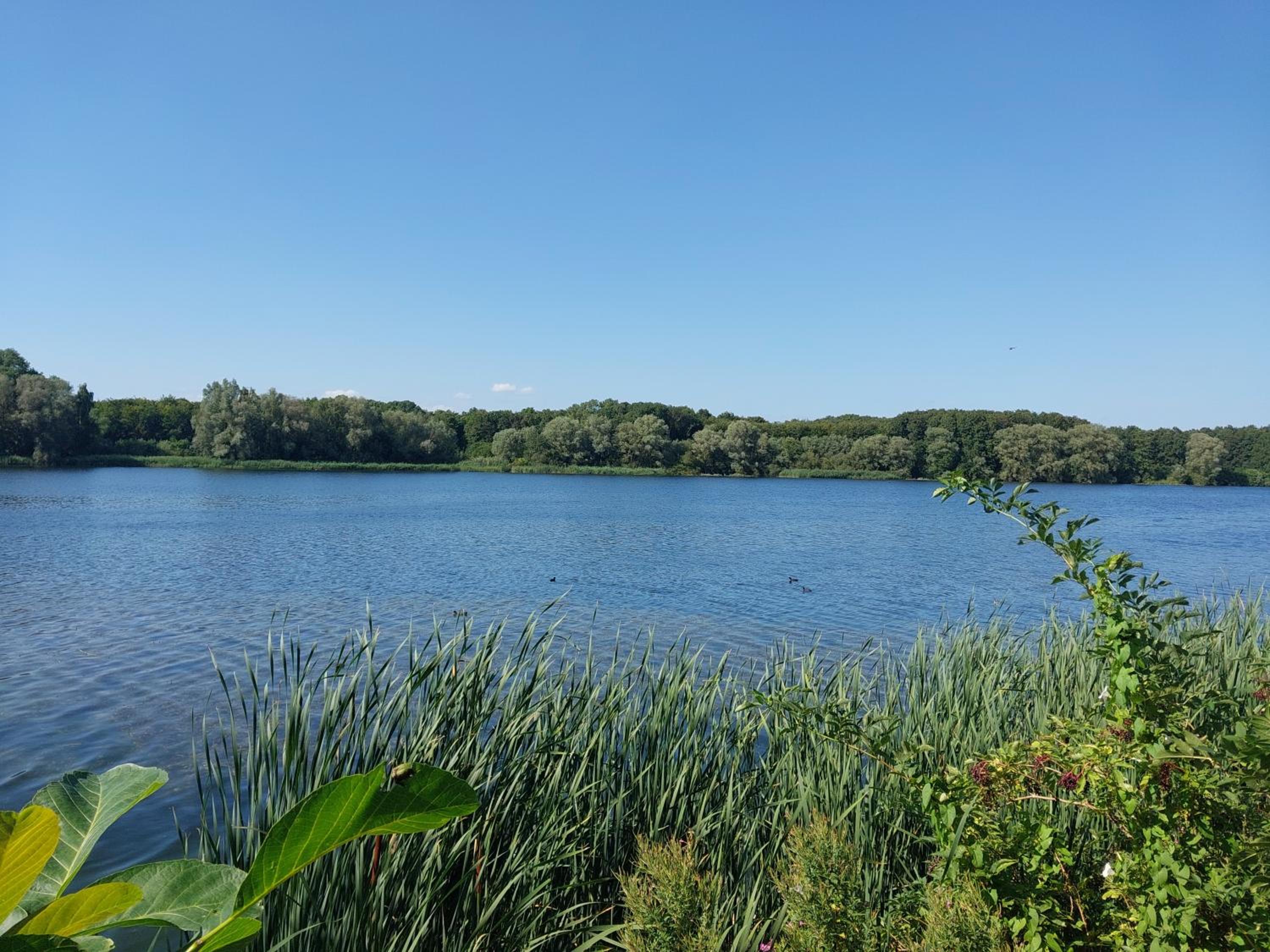 Lake Harelbeke