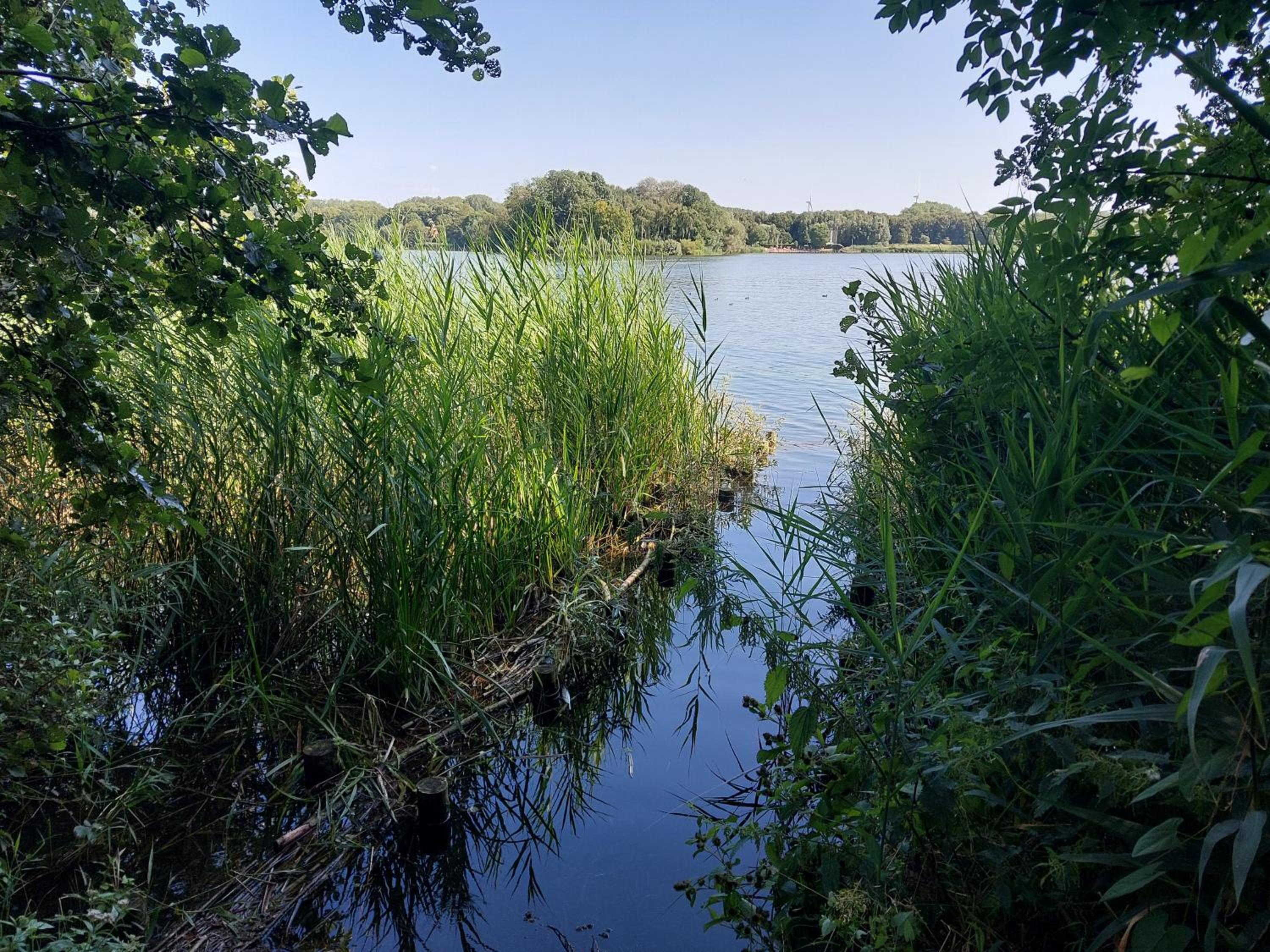 Lake Harelbeke