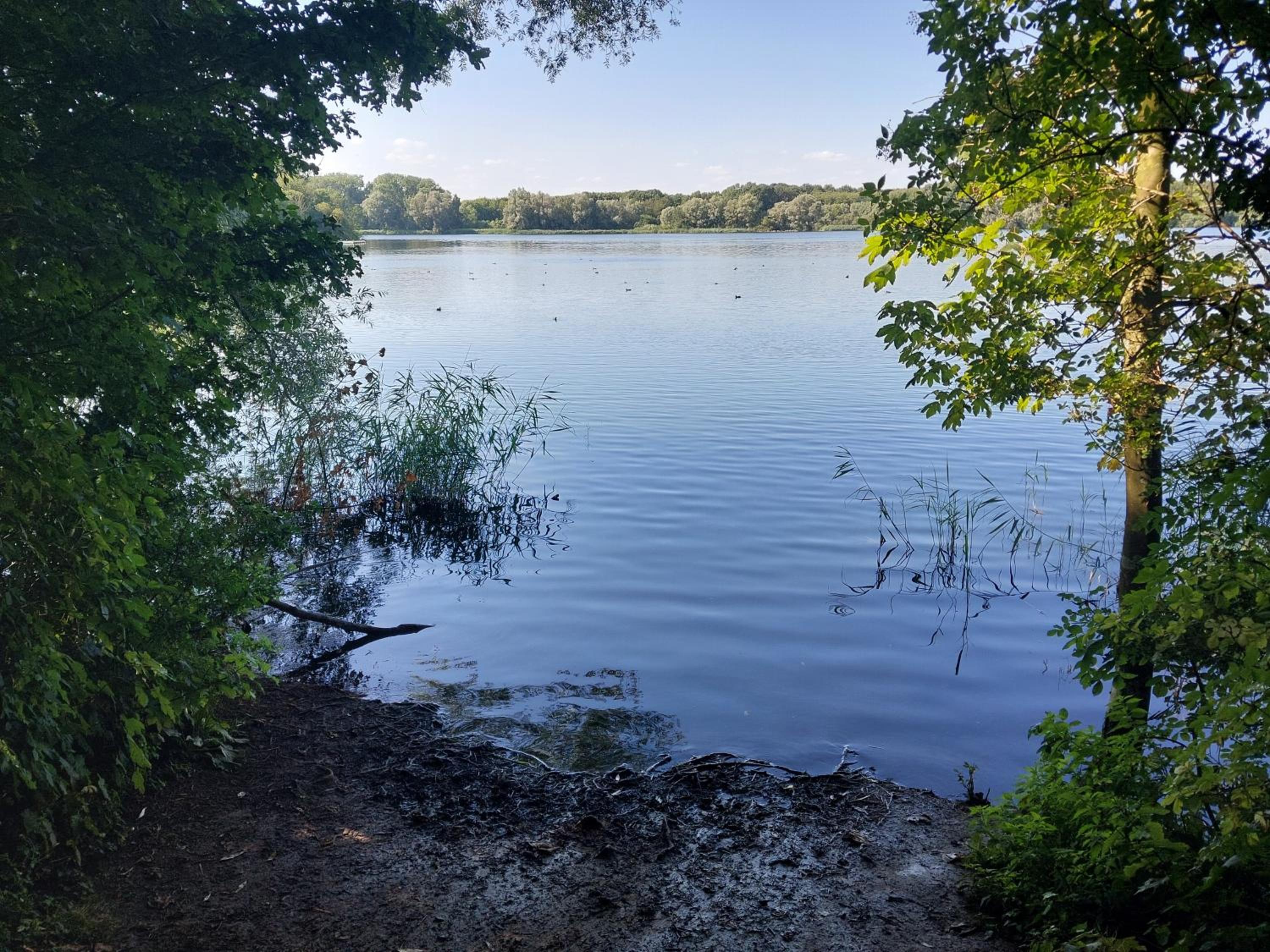 Lake Harelbeke
