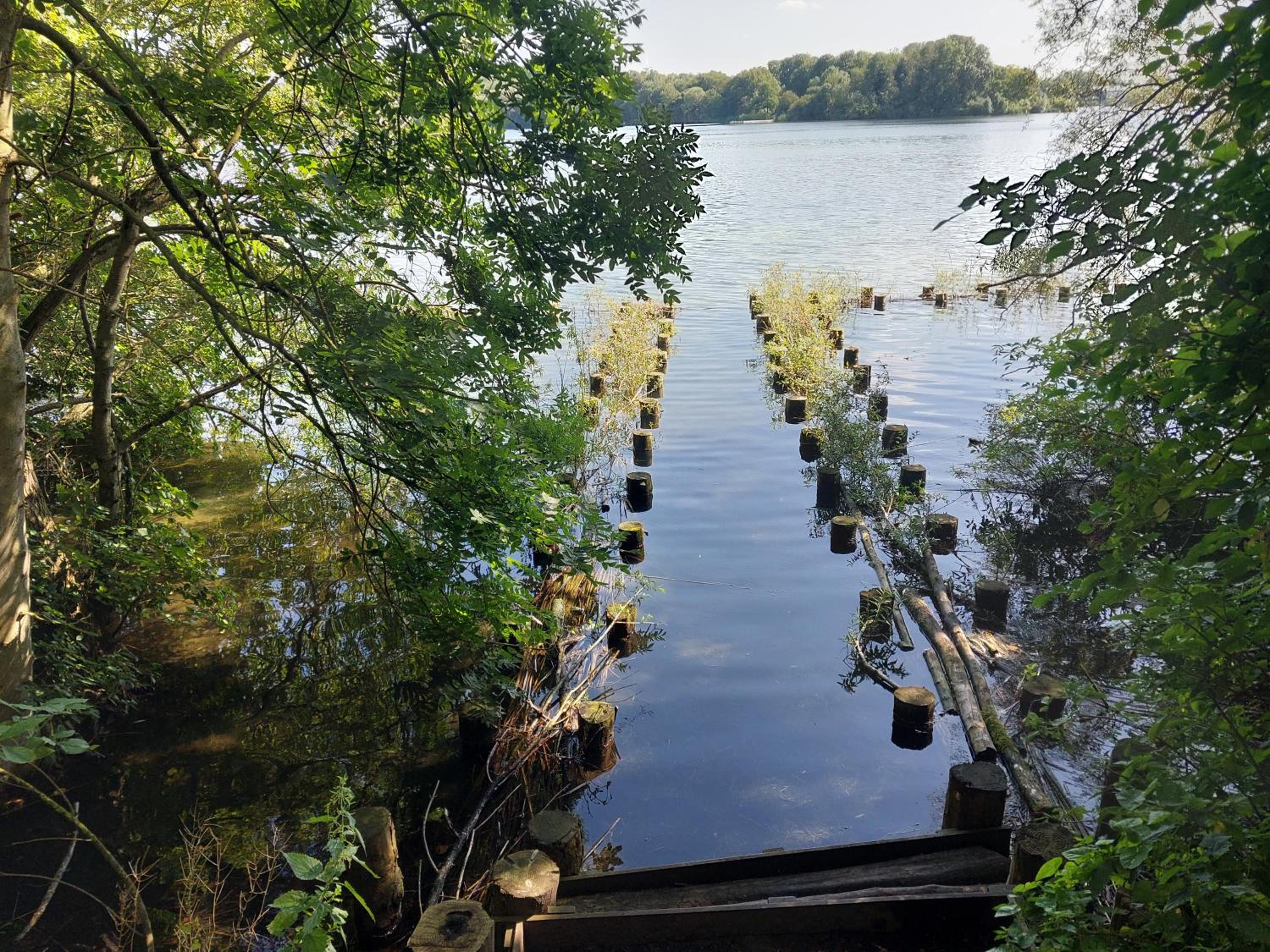 Lake Harelbeke