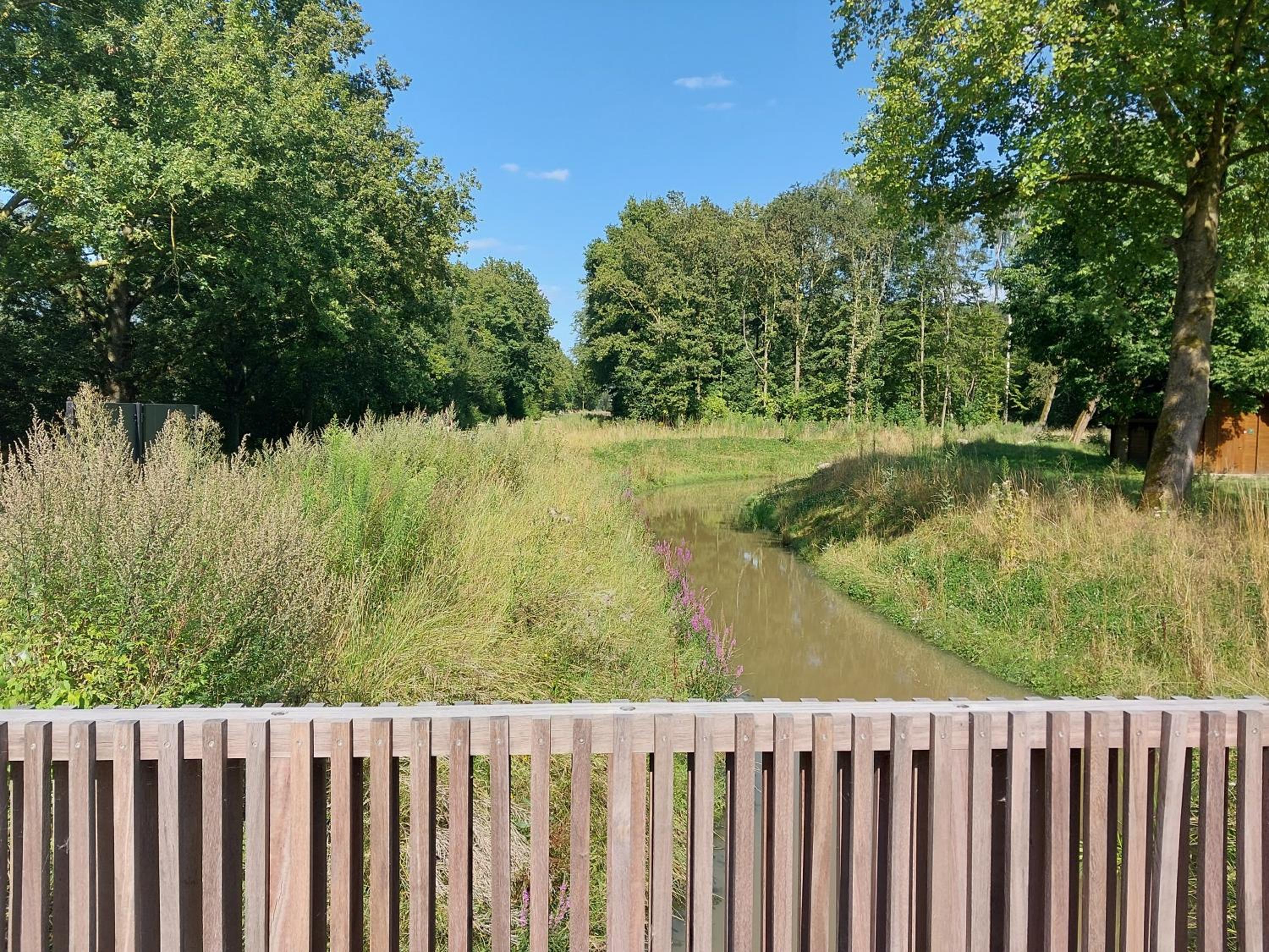 Lake Harelbeke