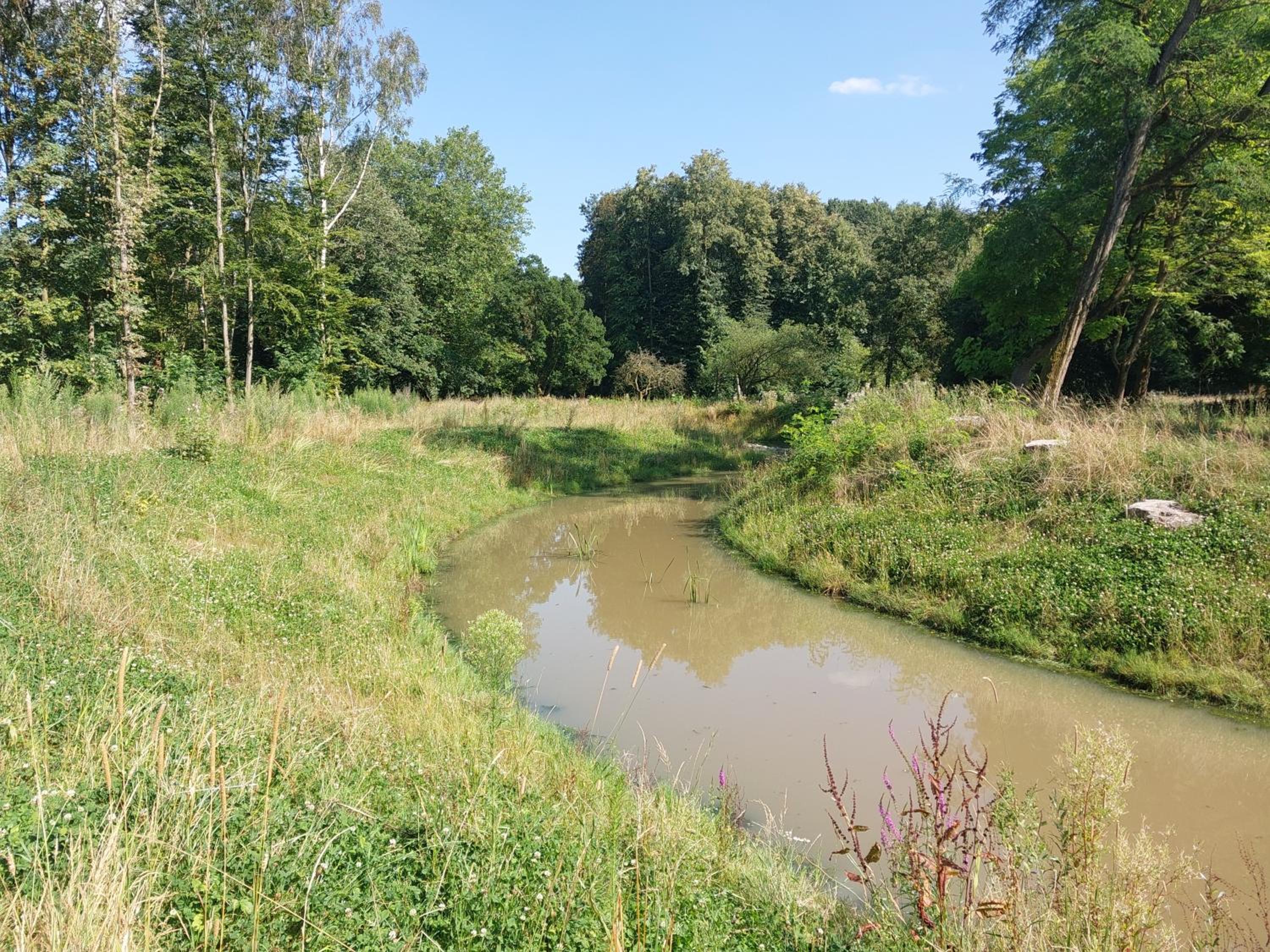 Lake Harelbeke