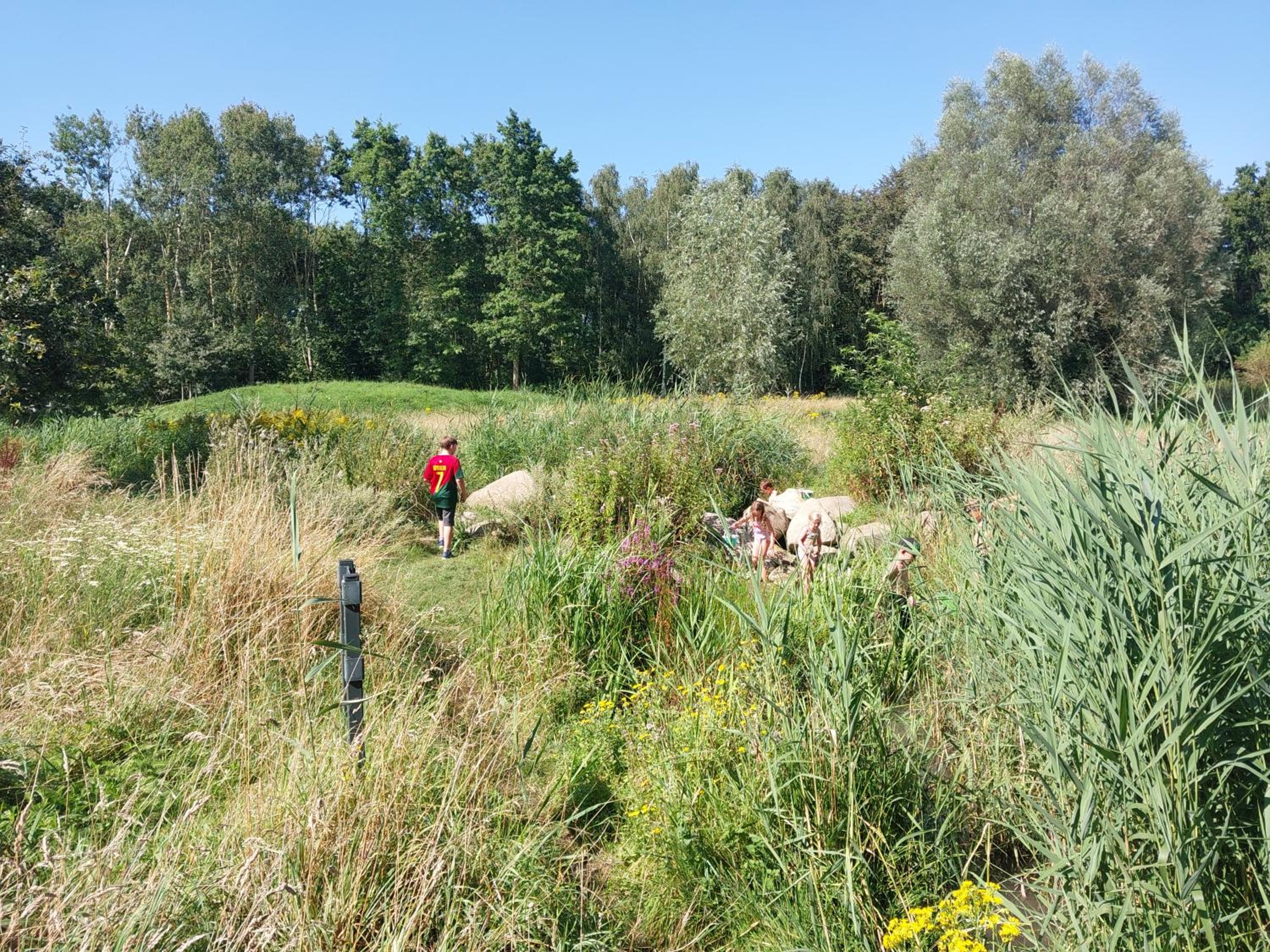 Lake Harelbeke