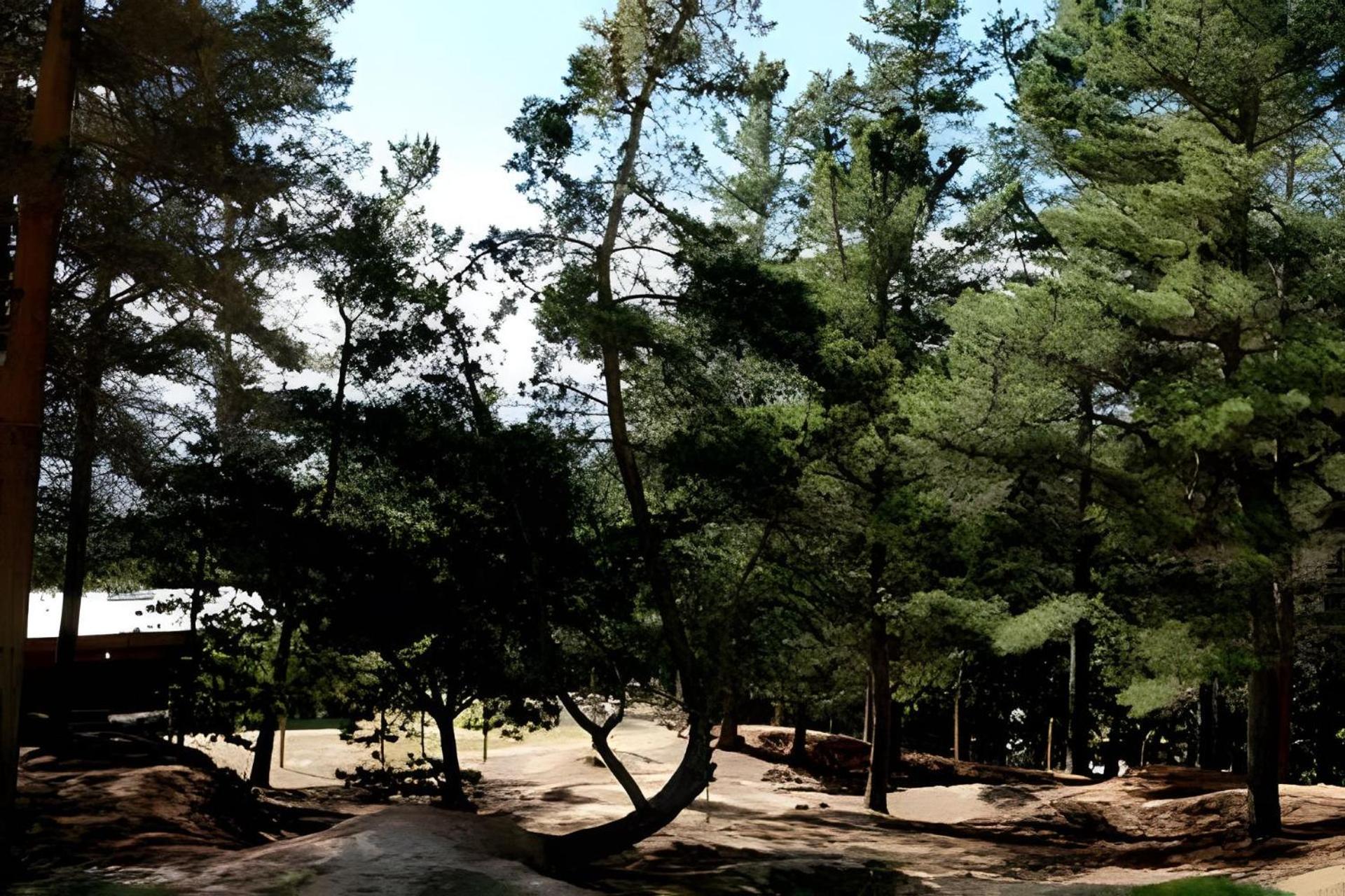 Cabaña del Cerro 4