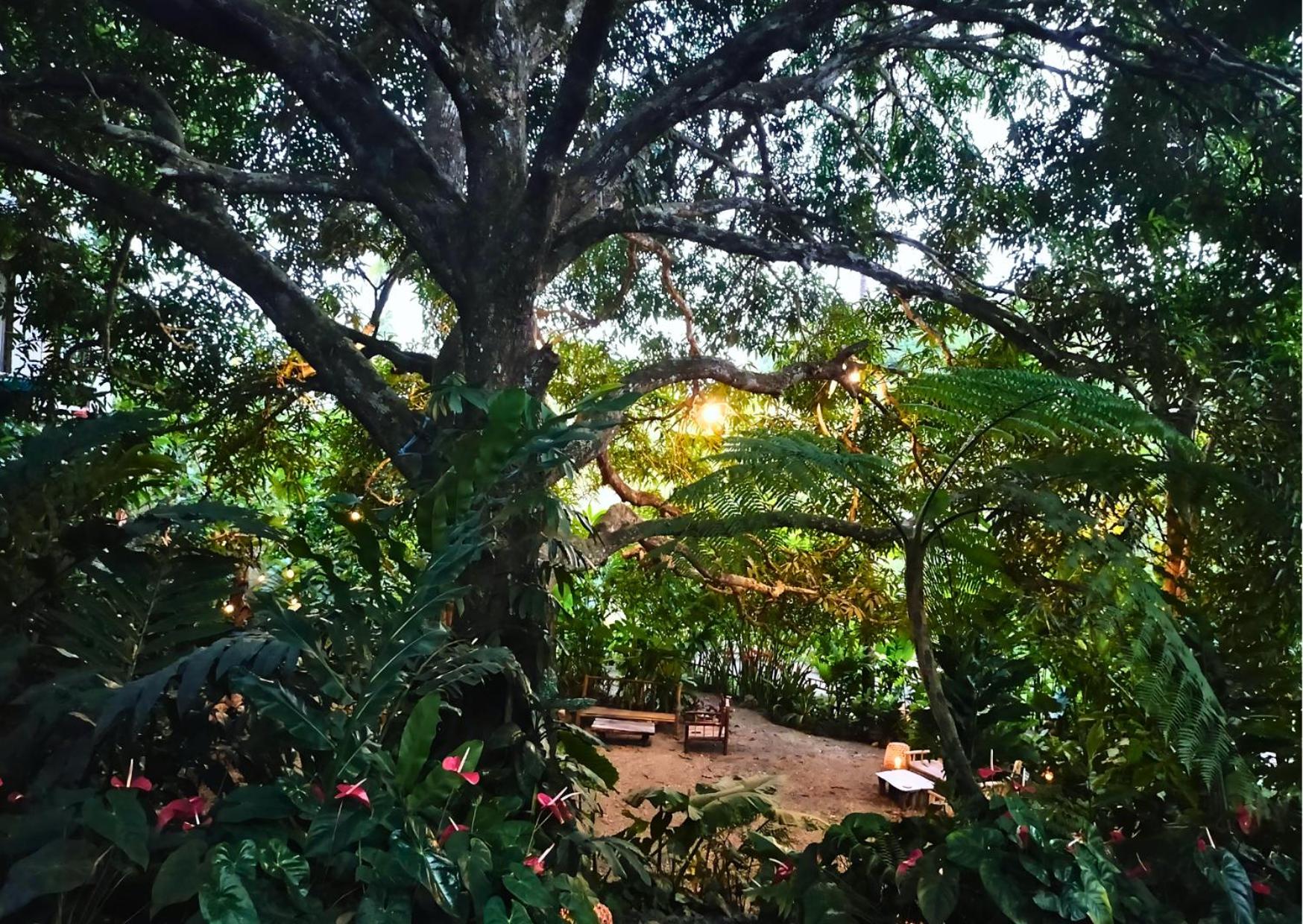 Canjahawon Nipa Hut Homestay view 3