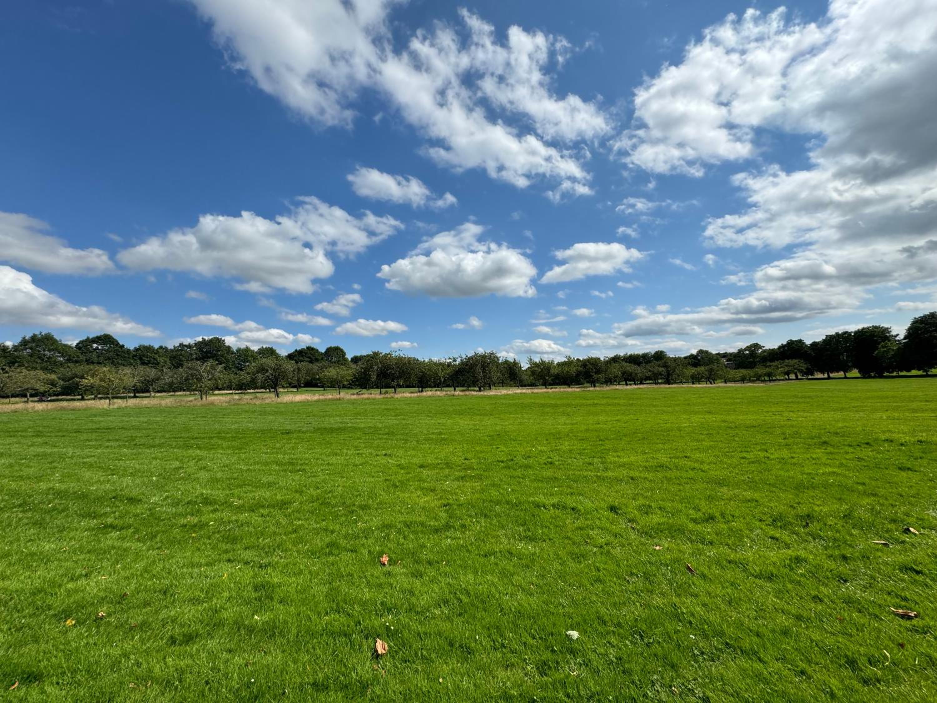 YORK PLACE - Spacious central apartment to town with views