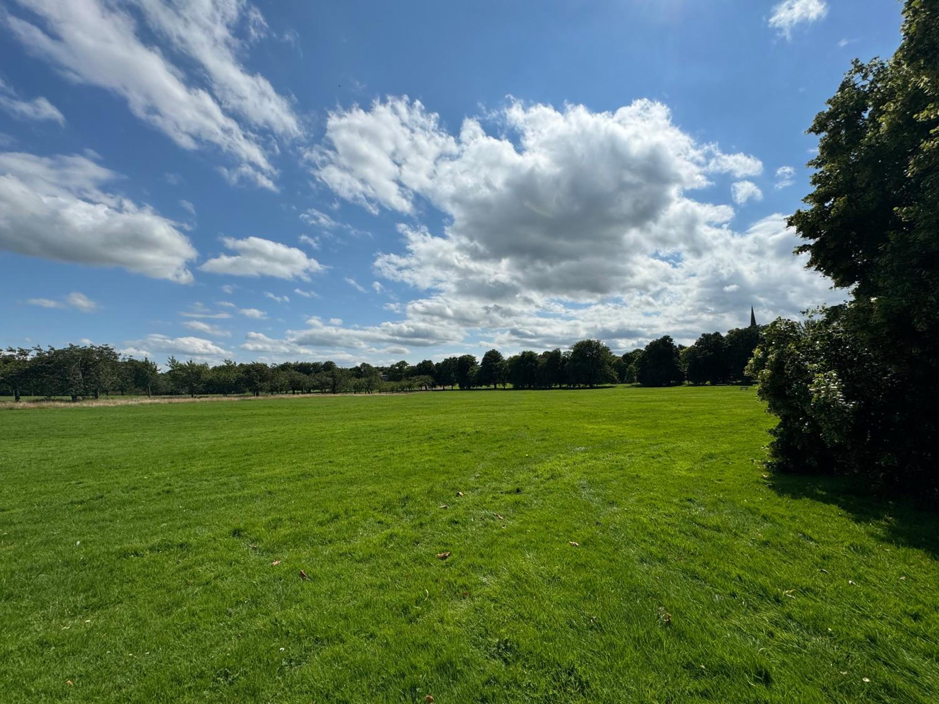 YORK PLACE - Spacious central apartment to town with views
