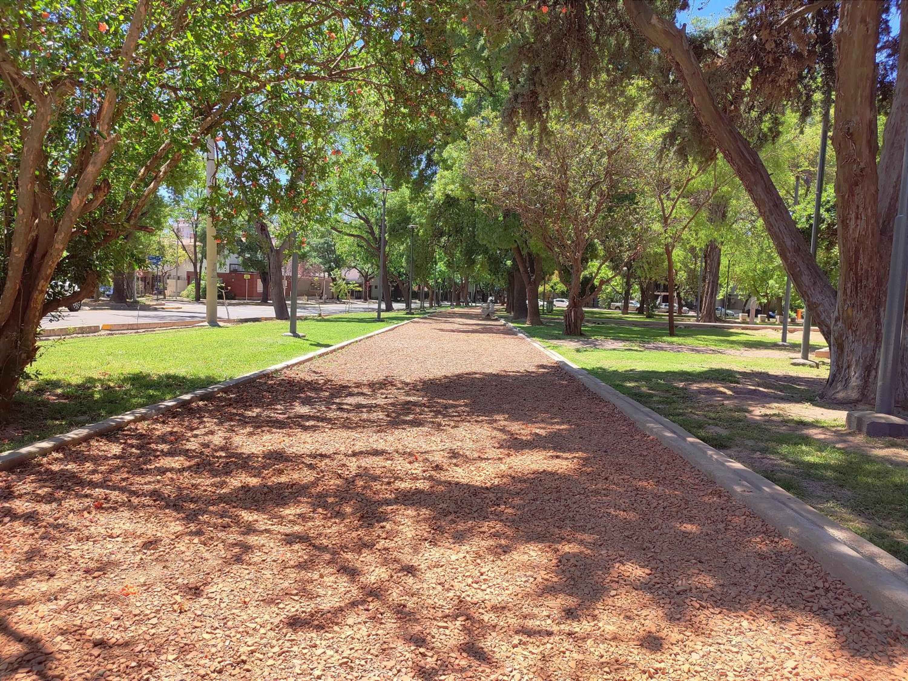 Tranquilo departamento en Mendoza