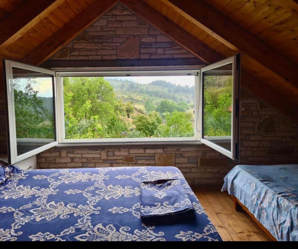 Guest House Tomorrow