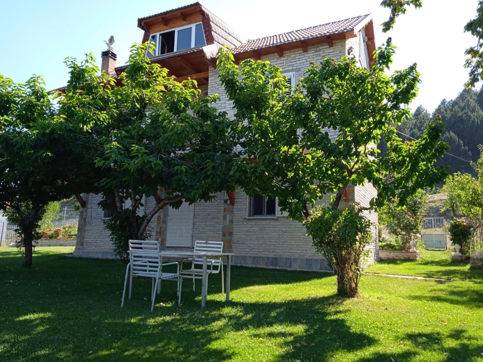 Guest House Tomorrow