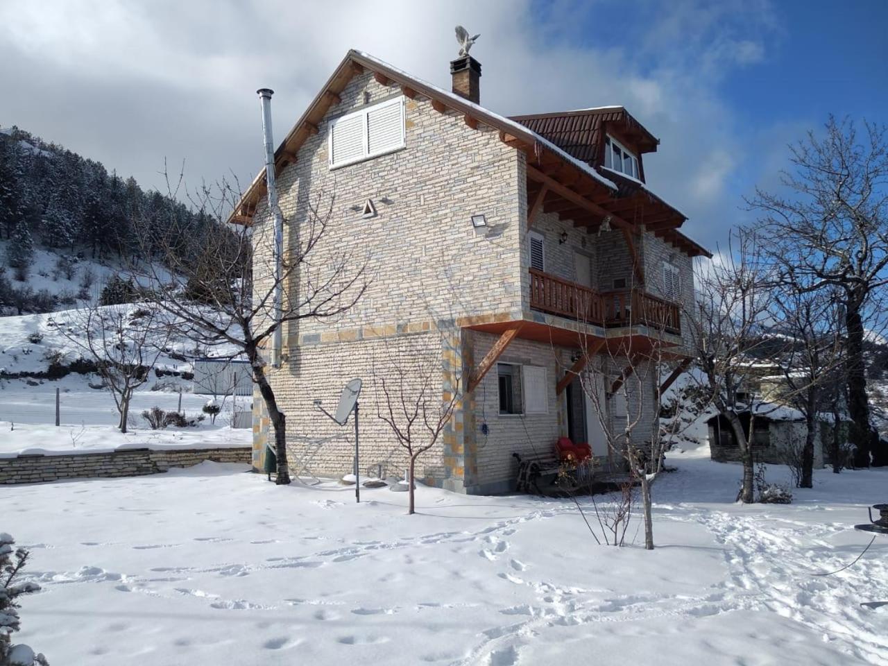 Guest House Tomorrow