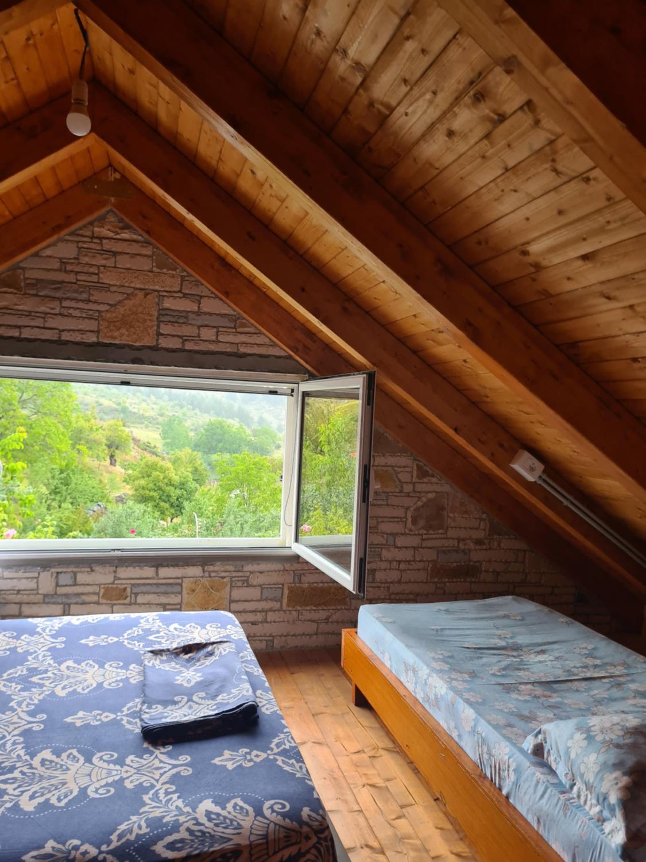 Guest House Tomorrow