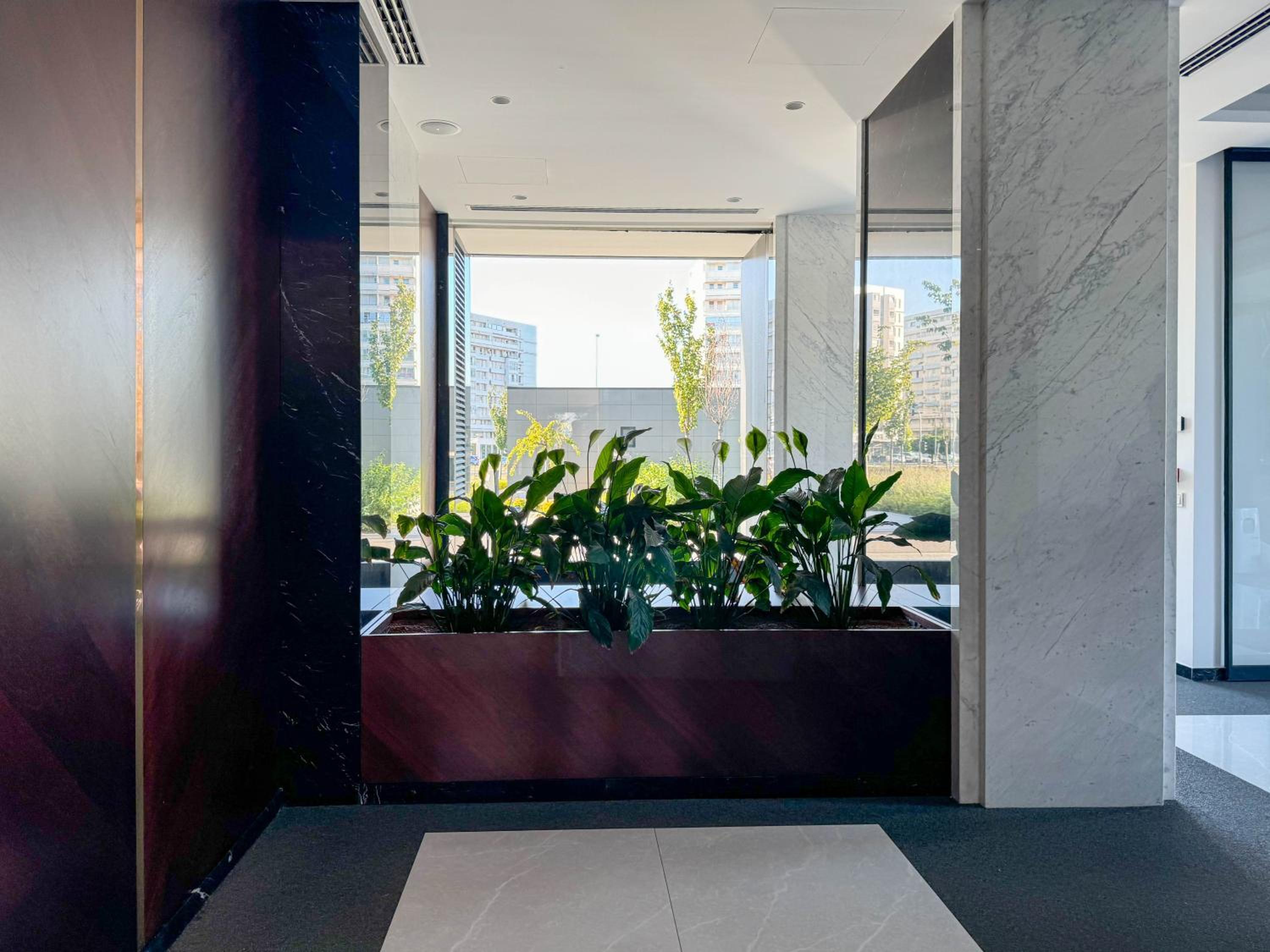 Sakura Park Luxury Apartments