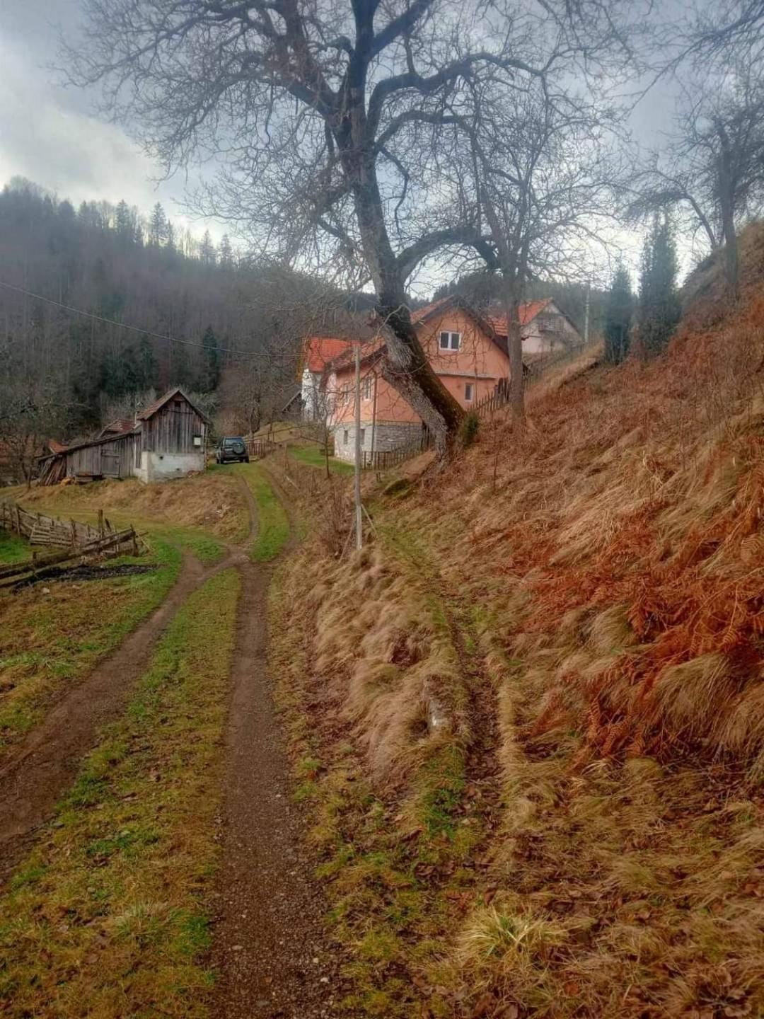 Domacinstvo Jezdic view 3