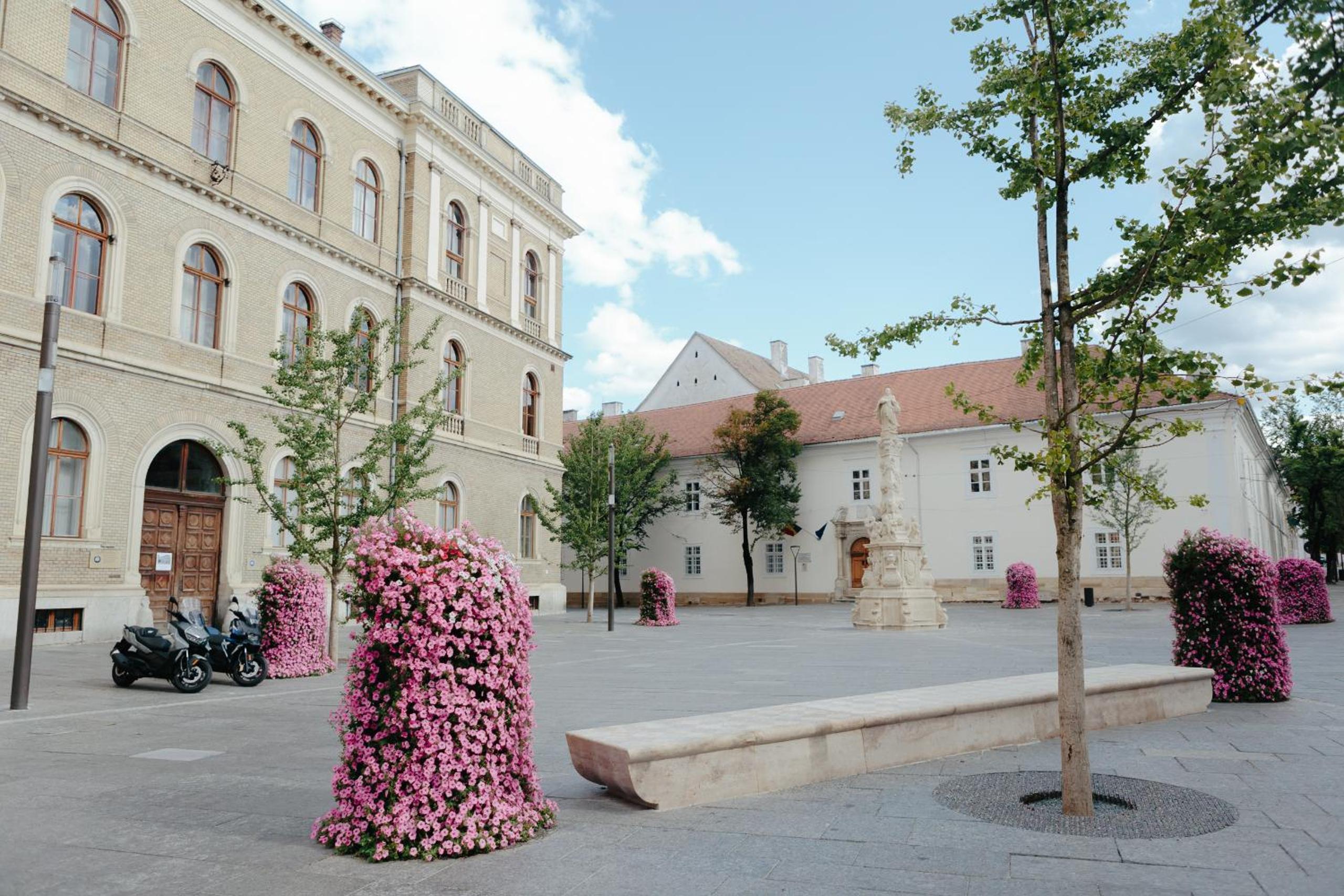 Photo 49