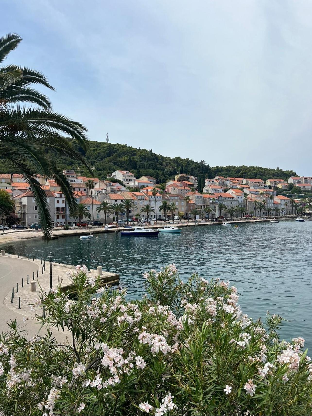 Apartment Korčula