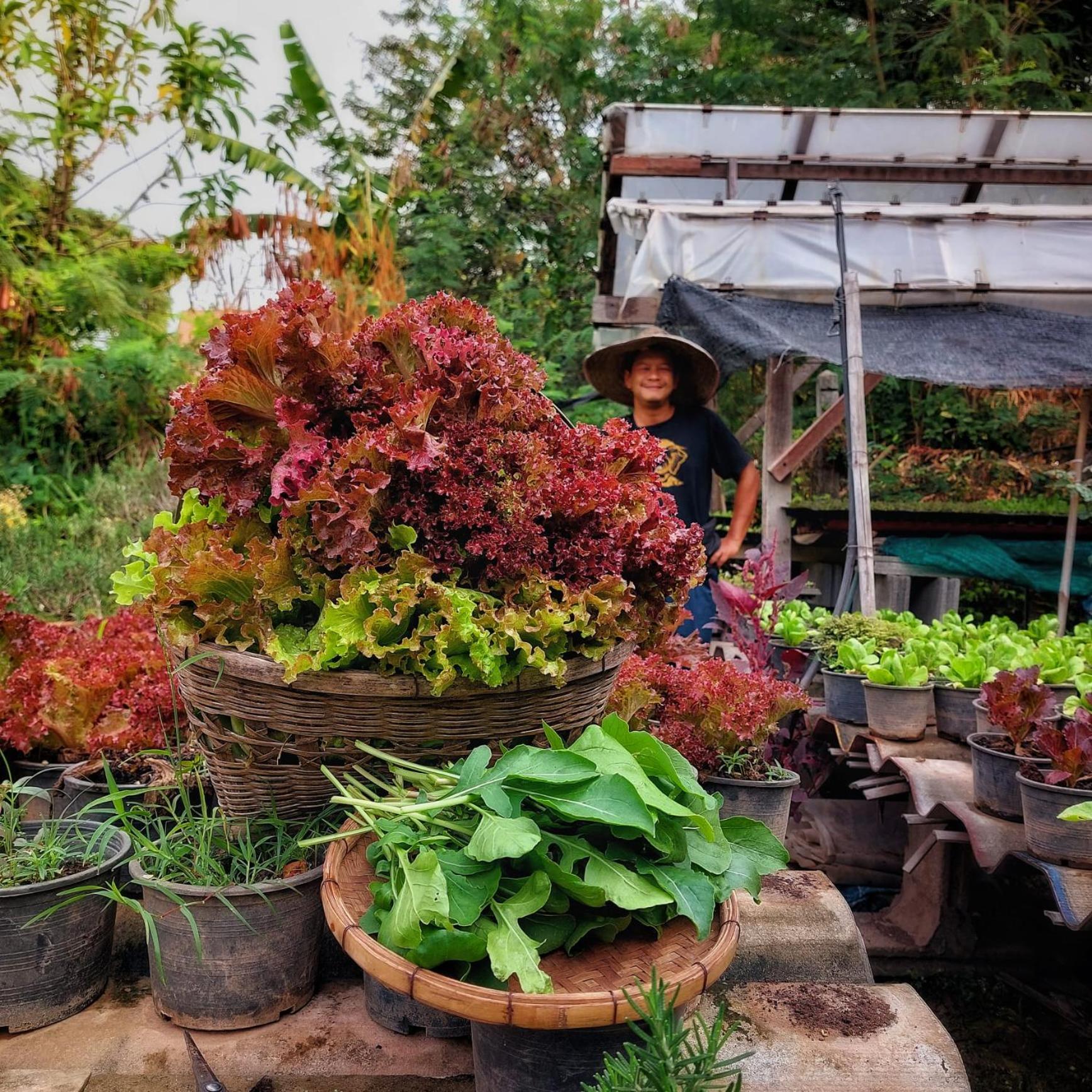 HostelBed and Retreat Phitsanulok