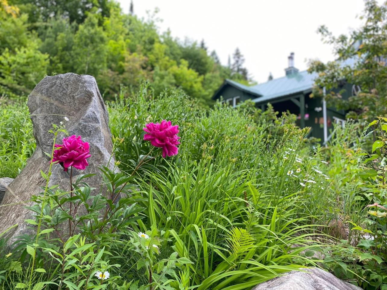 Ô Refuge Classic Chalet, Hot tub & Scenic view