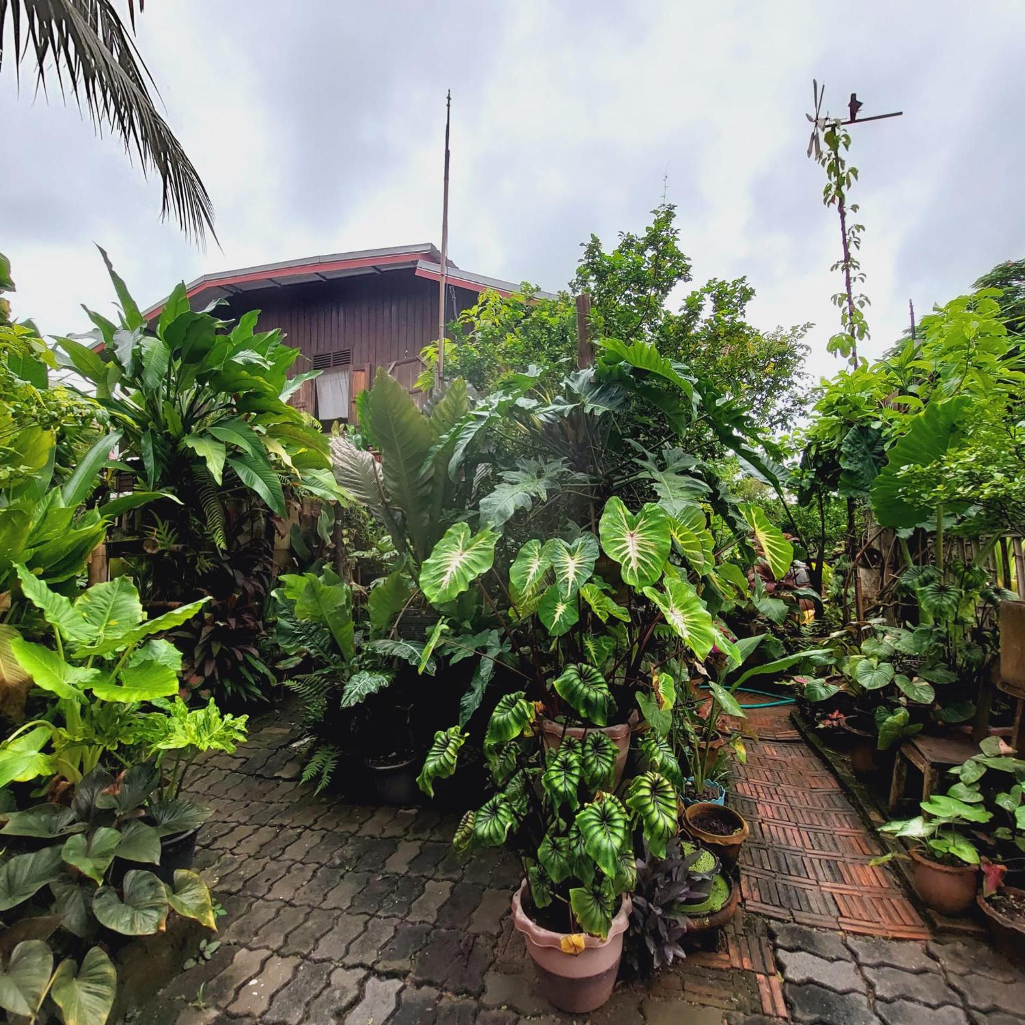 HostelBed and Retreat Phitsanulok