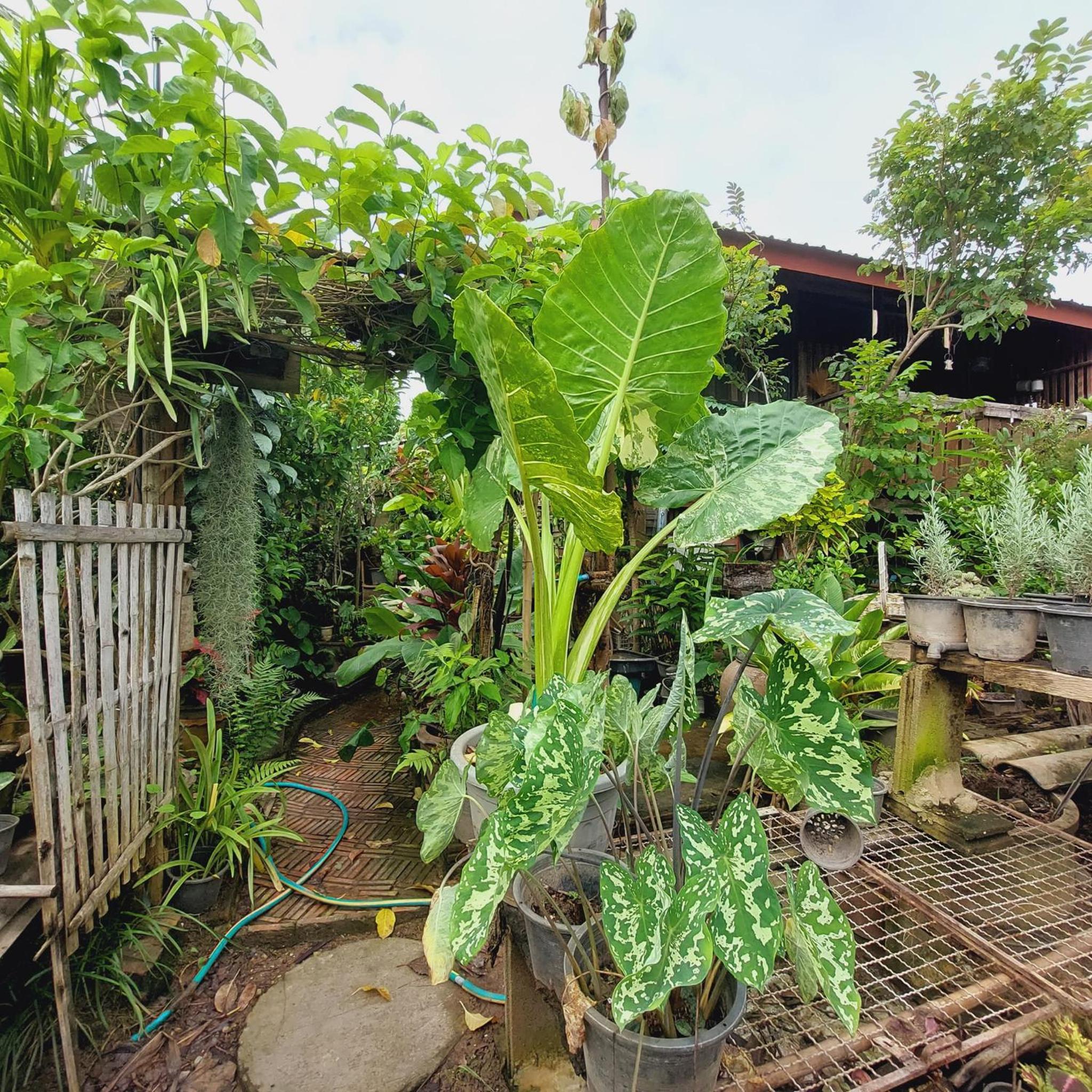 HostelBed and Retreat Phitsanulok