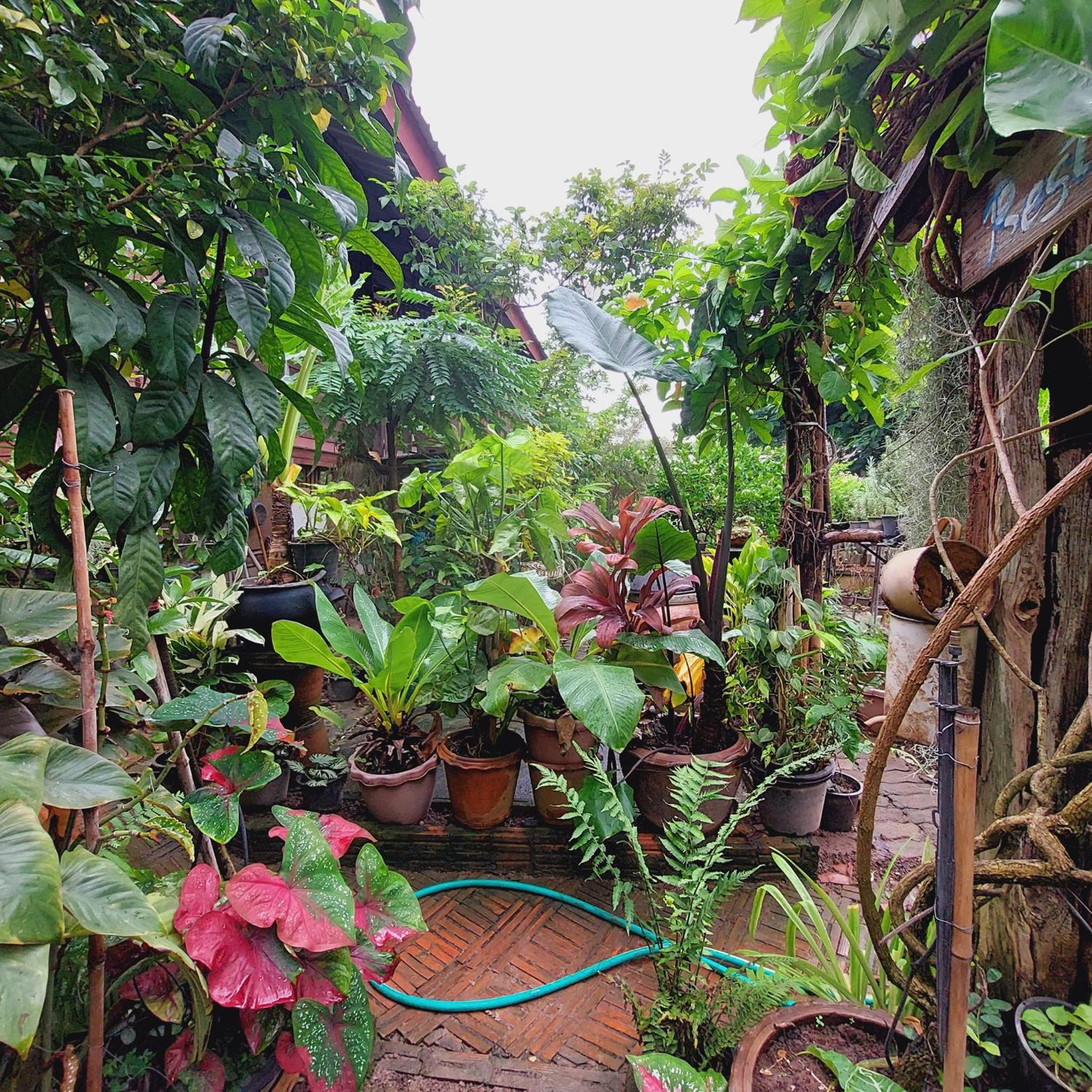 HostelBed and Retreat Phitsanulok