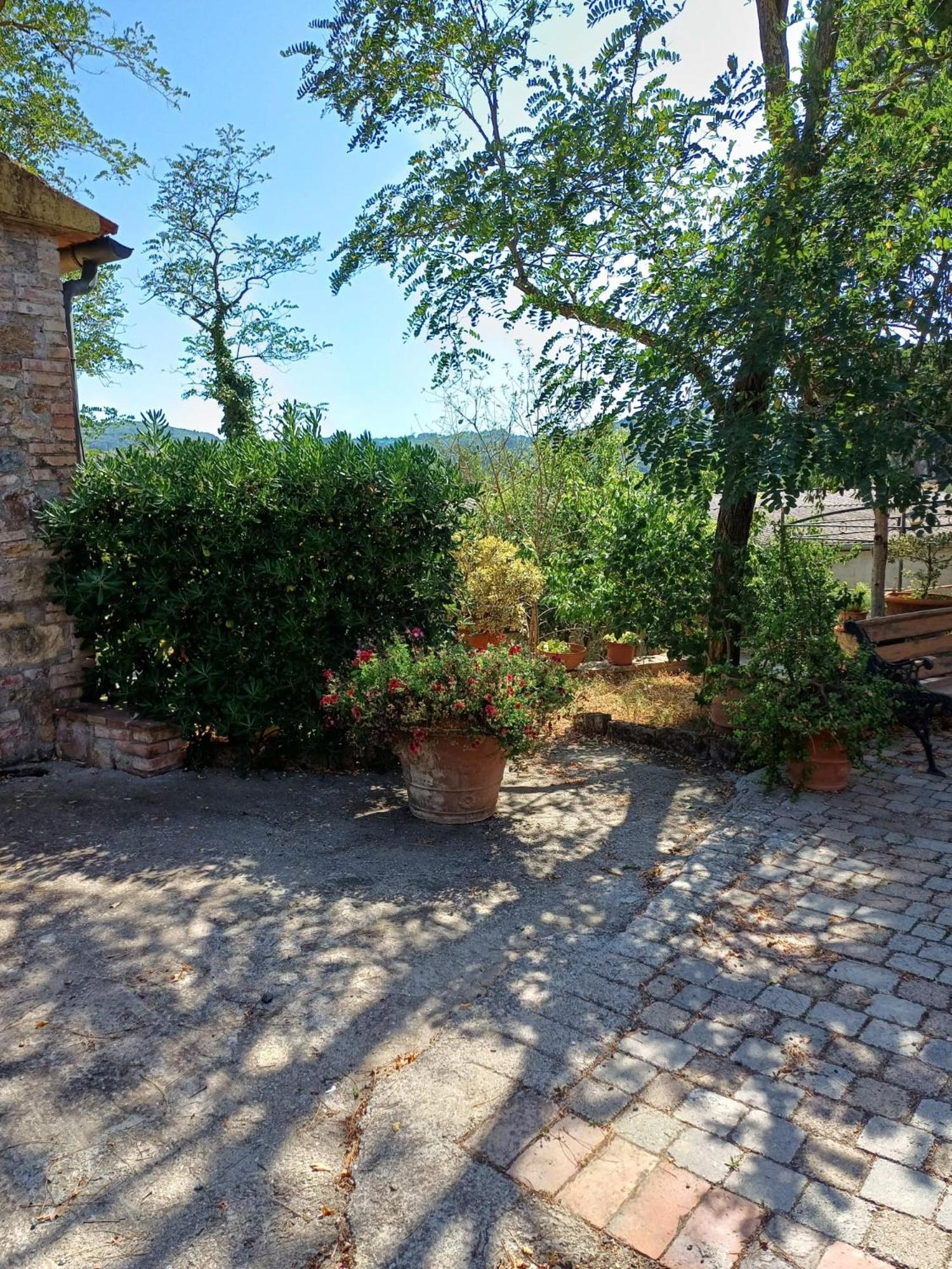 Casale rustico Poggiarino diB&L view 4