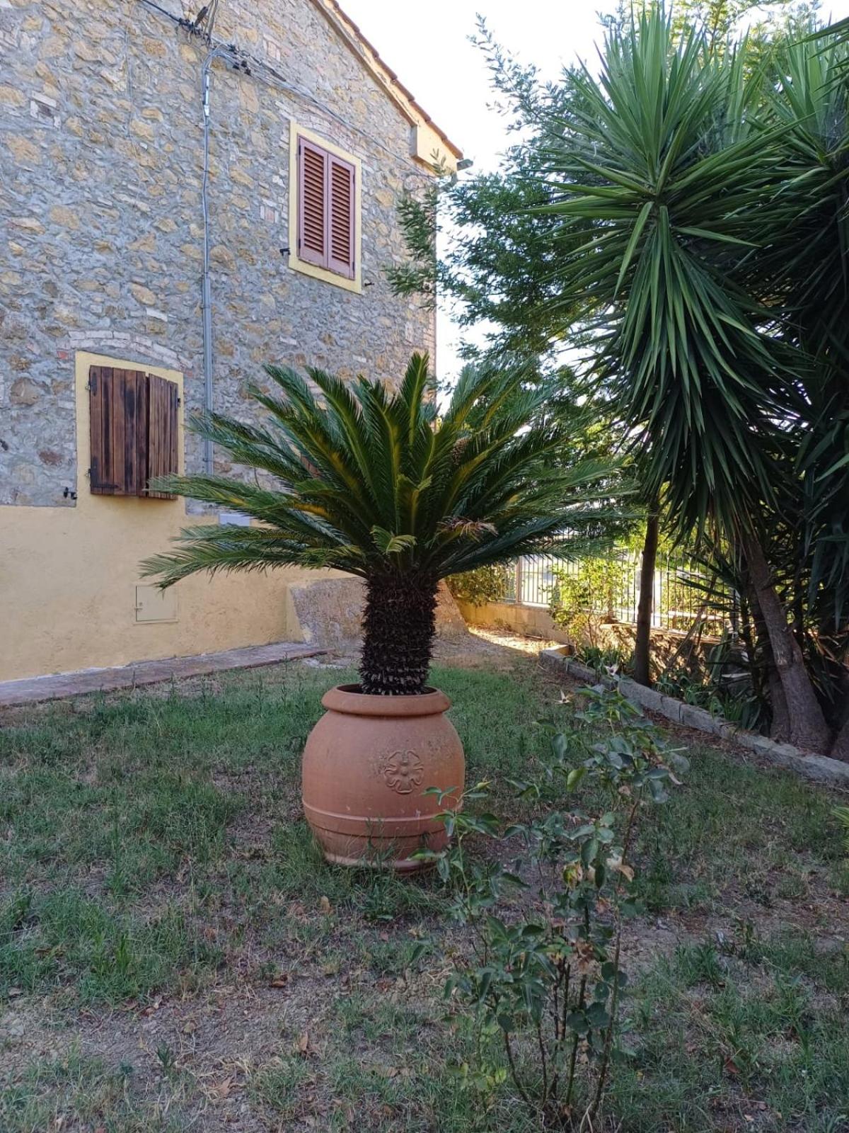 Casale rustico Poggiarino diB&L view 3