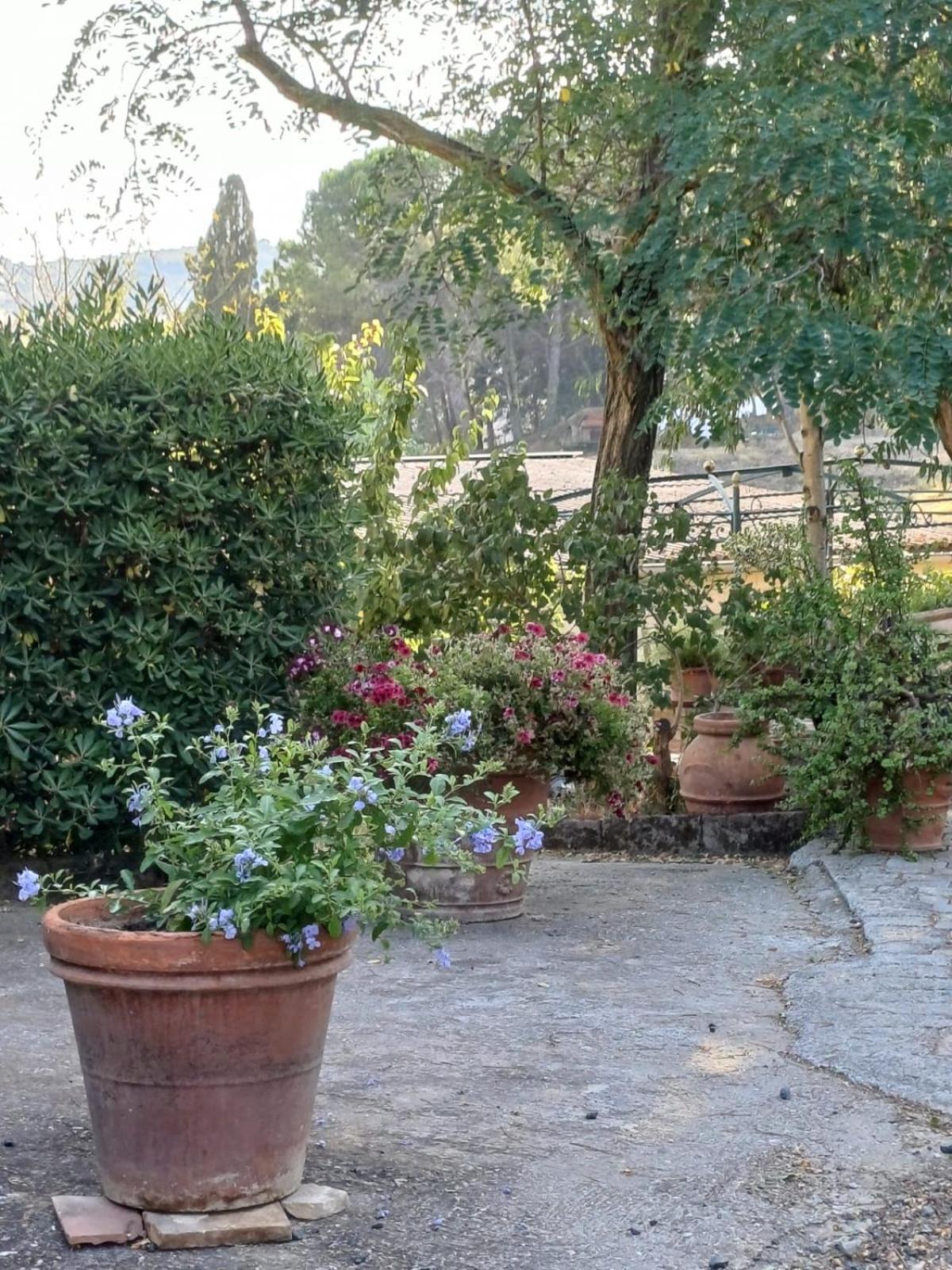 Casale rustico Poggiarino diB&L view 5